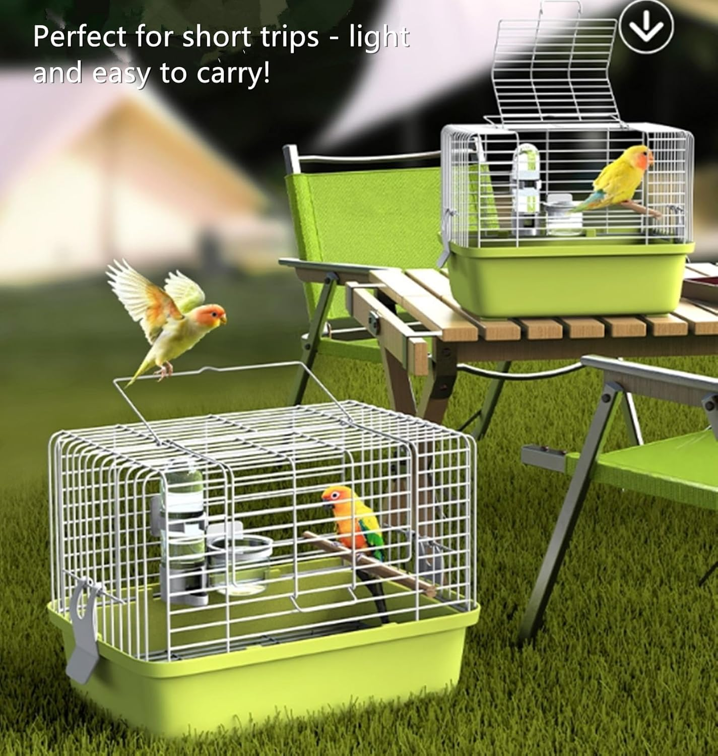 Portable Bird Travel Carrier Cage &ndash; 360&deg; Full View Wire Carrier with Feeder & Water Cup for Cockatiels, Parakeets &ndash; Locking Door, Easy Clean, Perch Included &ndash; Perfect for Vet Visits, Trips(Size:L)
