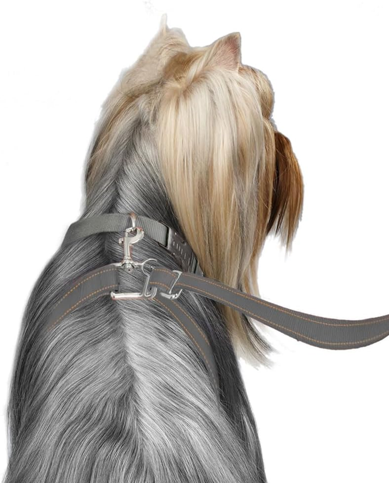 Thunderleash No-Pull Dog Leash (Small (12 to 25 Lbs), Grey) image number 3