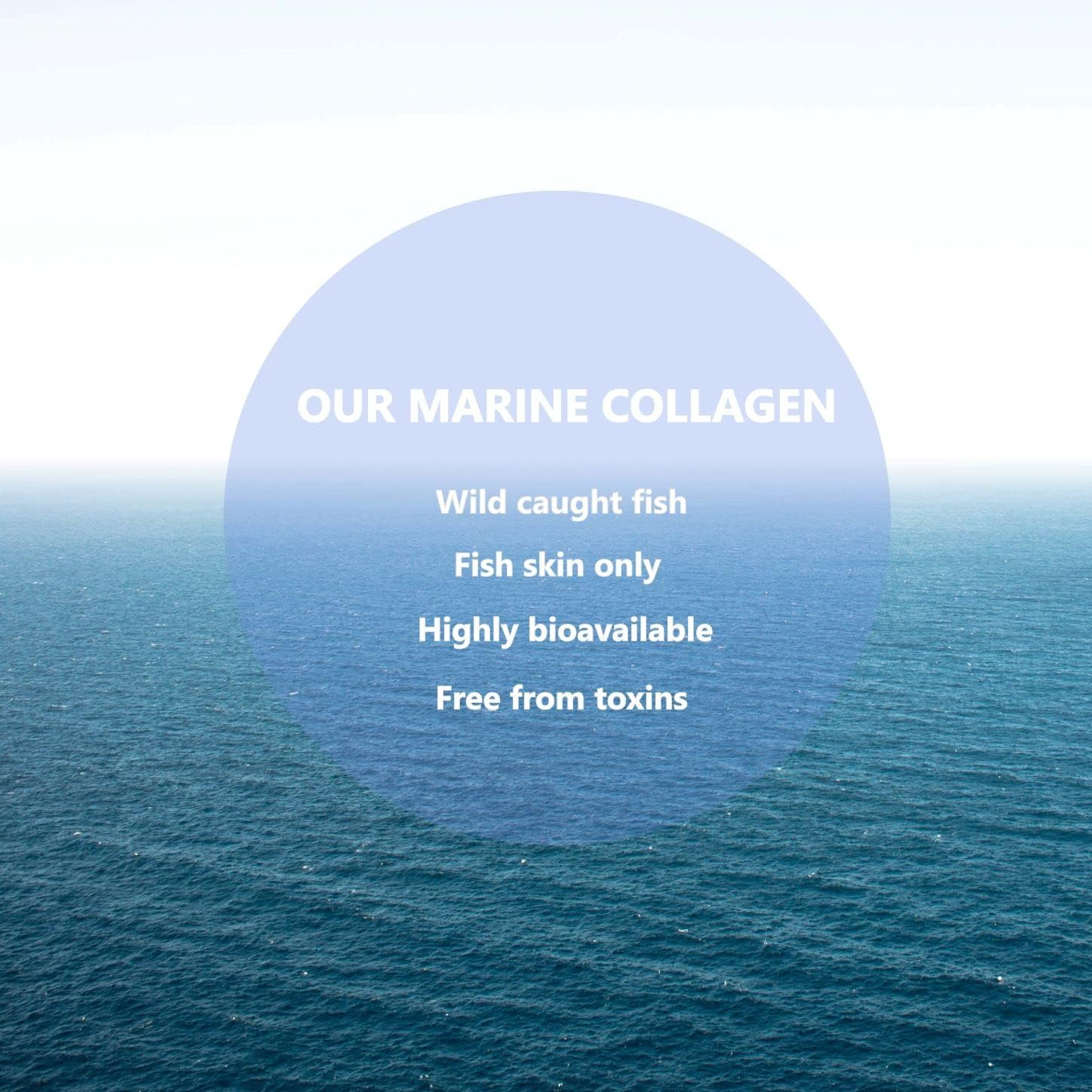 Pure Hydrolysed Marine Collagen Made from 100% Wild Caught Fish Skin Only, Marine Stewardship Council (MSC) Certified, Highly Bioavailable to Support Healthy Skin, Hair and Nails (25 Serves) image number 3