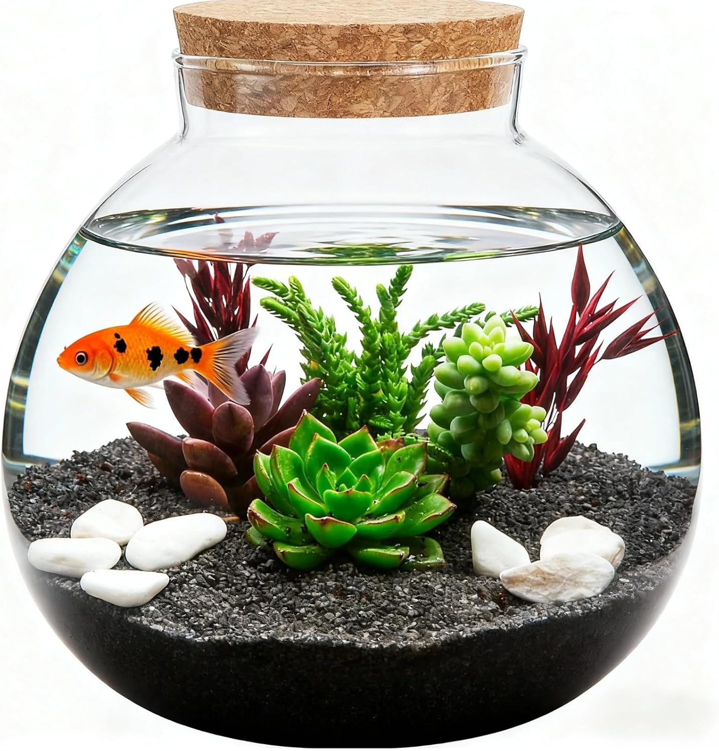 ULTECHNOVO Glass Terrarium: Transparent Glass Fish Tank with Cork Lid for Hydroponic Plants and Moss Landscape for Craft DIY Planter Decor Home and Wedding Centerpieces image number 3