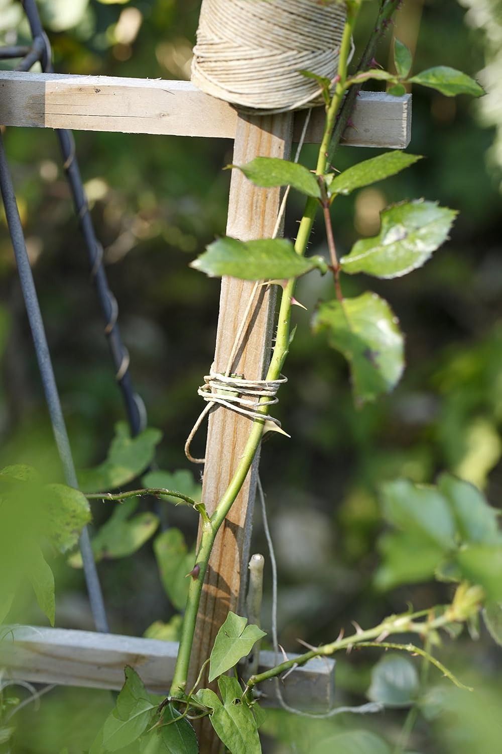 La Cordeline Linen Yarn Ball CJN26 Natural 5.5 X 14.5 X 5.5 Cm - 120 M image number 1