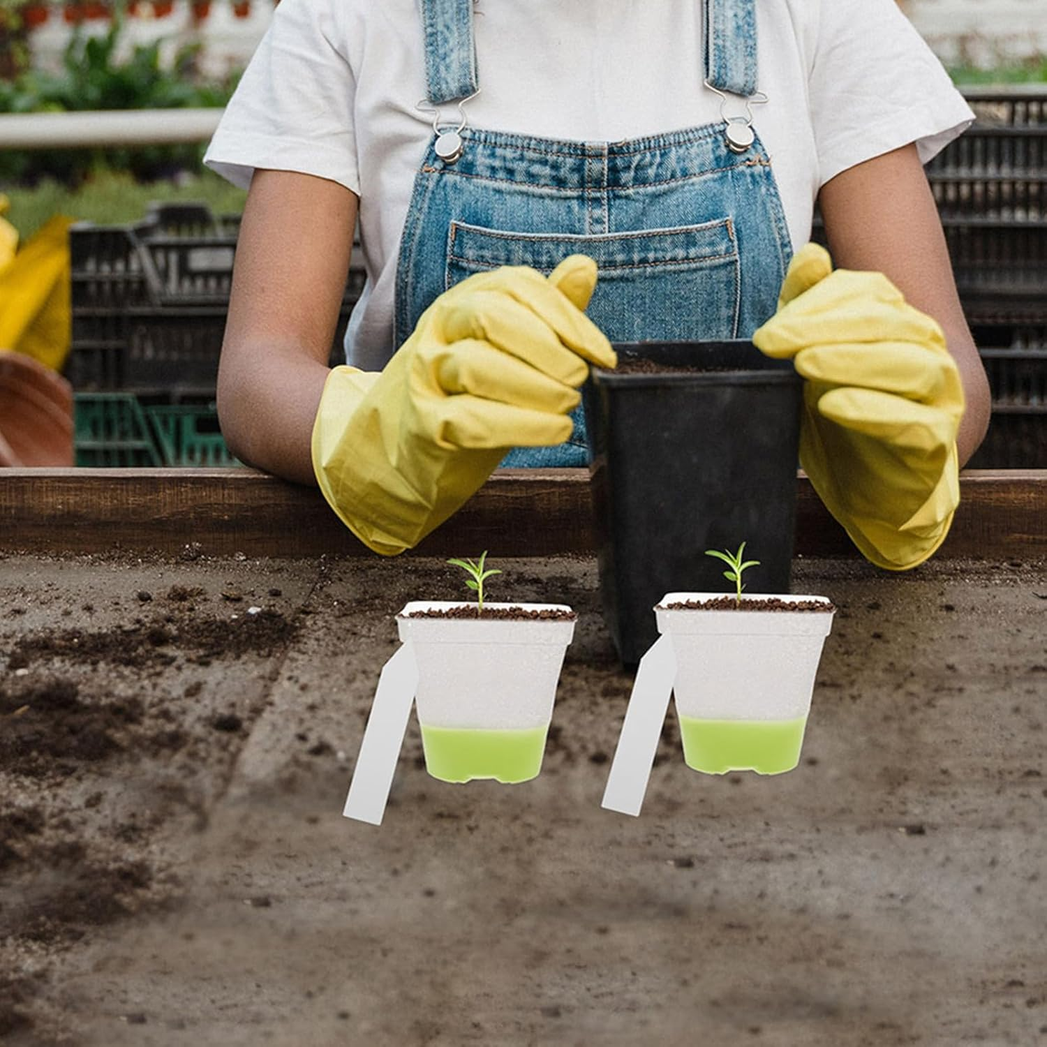 FONDOTIN 18Pcs Clear Plant Nursery Pots - 3" Reusable Plastic Planters with Drainage - Silicone Base Starter Pots for Seedlings Propagation Greenhouse Gardening image number 3