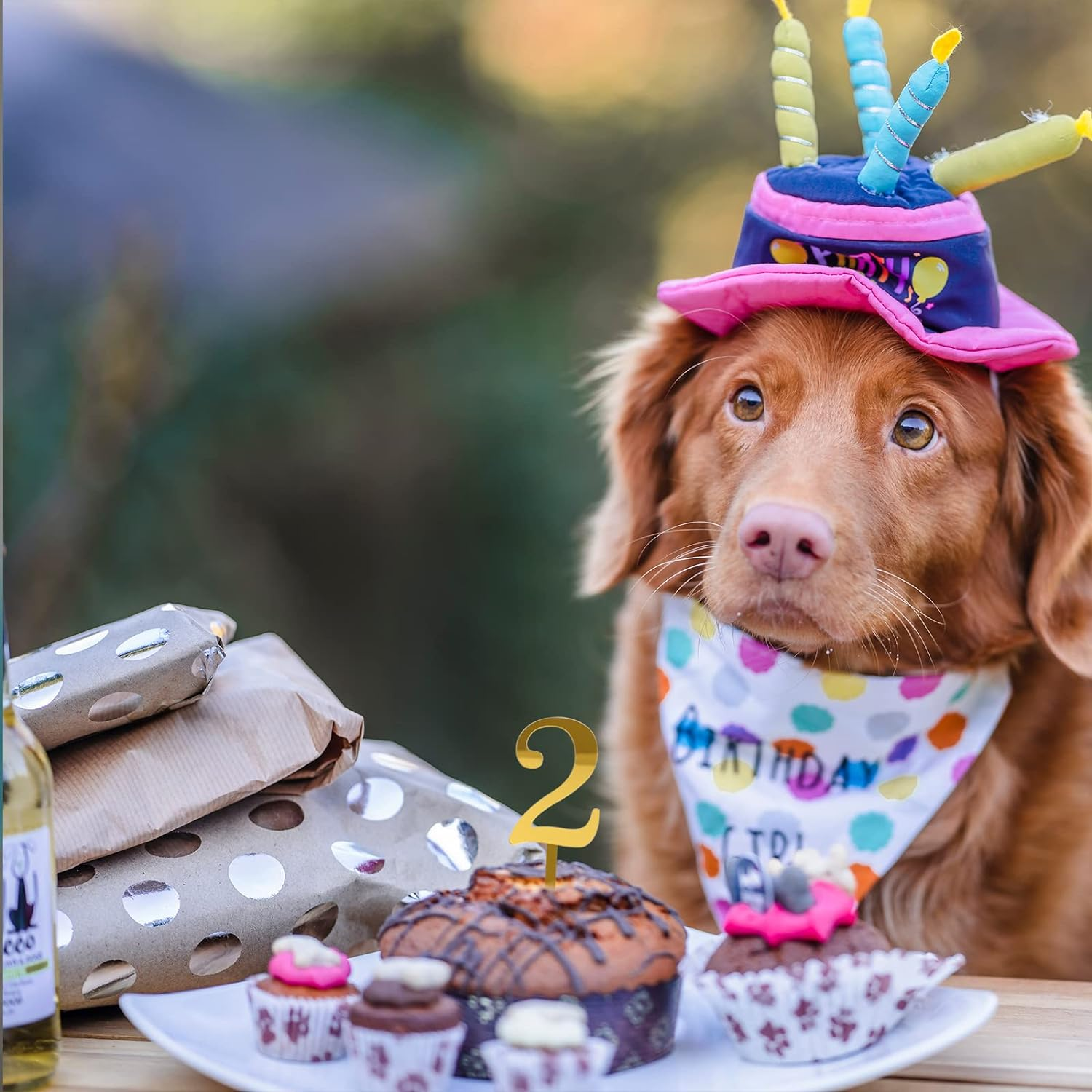 0-9 Number for Cake Topper, Shiny Acrylic Number Cake Toppers Cake Decorations Birthday Party Cake Topper for Birthday Party Wedding Anniversary image number 1