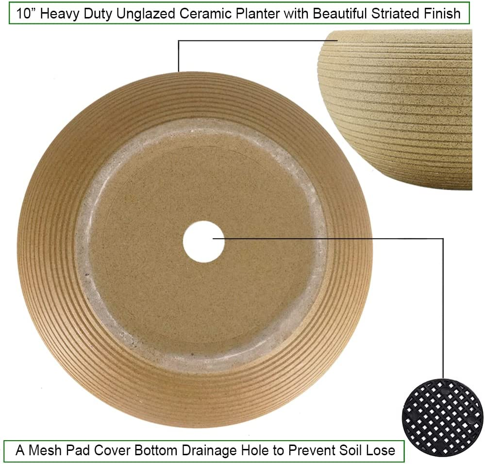 MUZHI 10&rdquo; round Large Ceramic Bonsai Bowl Planter，Clay Succulent Plant Pot Container with Saucer image number 2