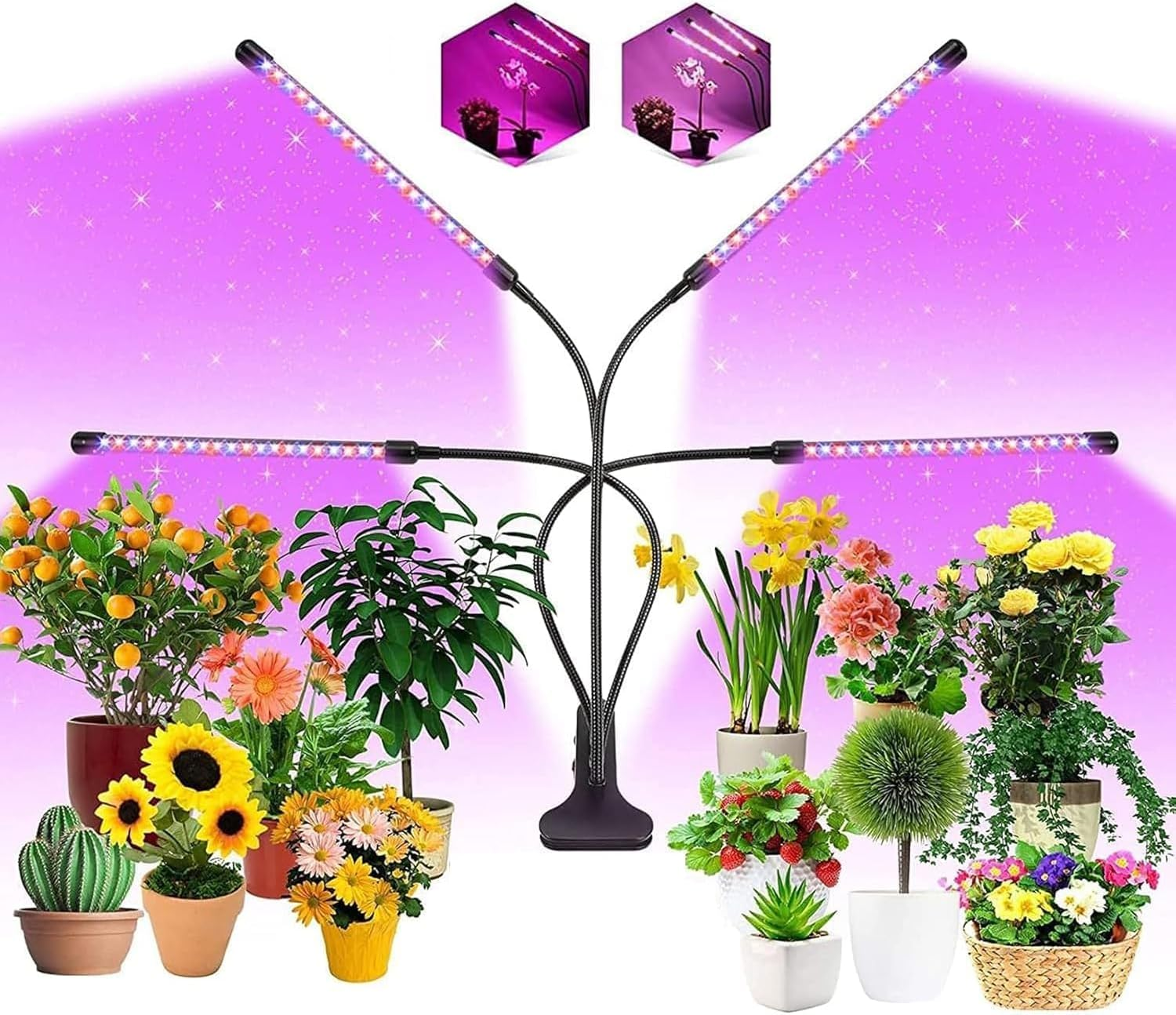 Grow Lights for Indoor Plants, Full Spectrum Plant Light with Timer 3/9/12H, 4 Adjustable Heads & 3 Modes, 360&deg; Flexible Neck for Seedlings, Succulents, Hydroponics (Black) image number 6