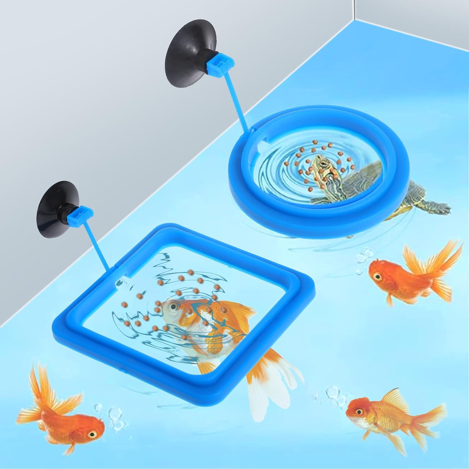 2 Pcs Fish Feeding Rings, Bule Aquarium Floating Plant Rings Fish Feeder Food Feeder Circle round and Square Aquarium Accessories for Bettas Guppy Goldfish Floating Plants in Place image number 6
