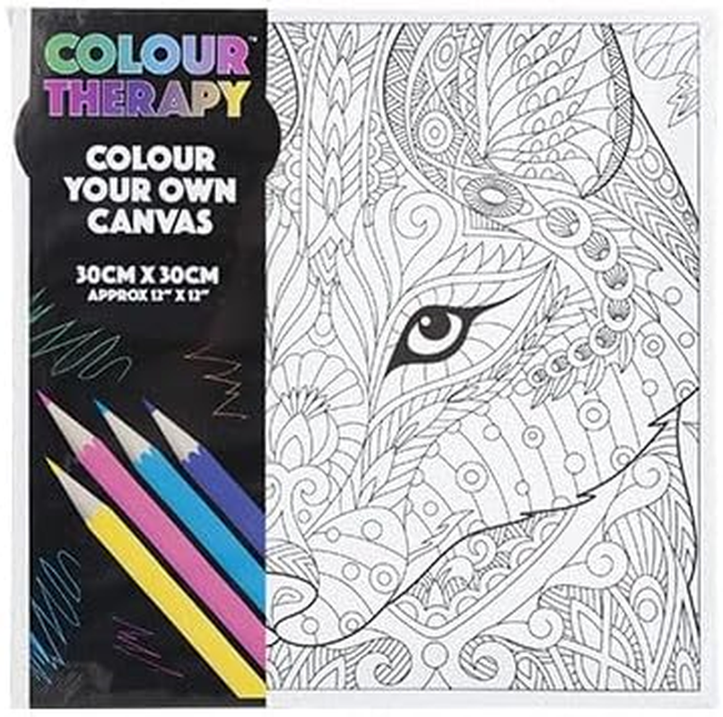 Colour Your Own Pre-Drawn Stretched Kids Children Canvas to Paint 30Cm X 30Cm (12&rdquo; X 12&rdquo;) Randomly Selected image number 1