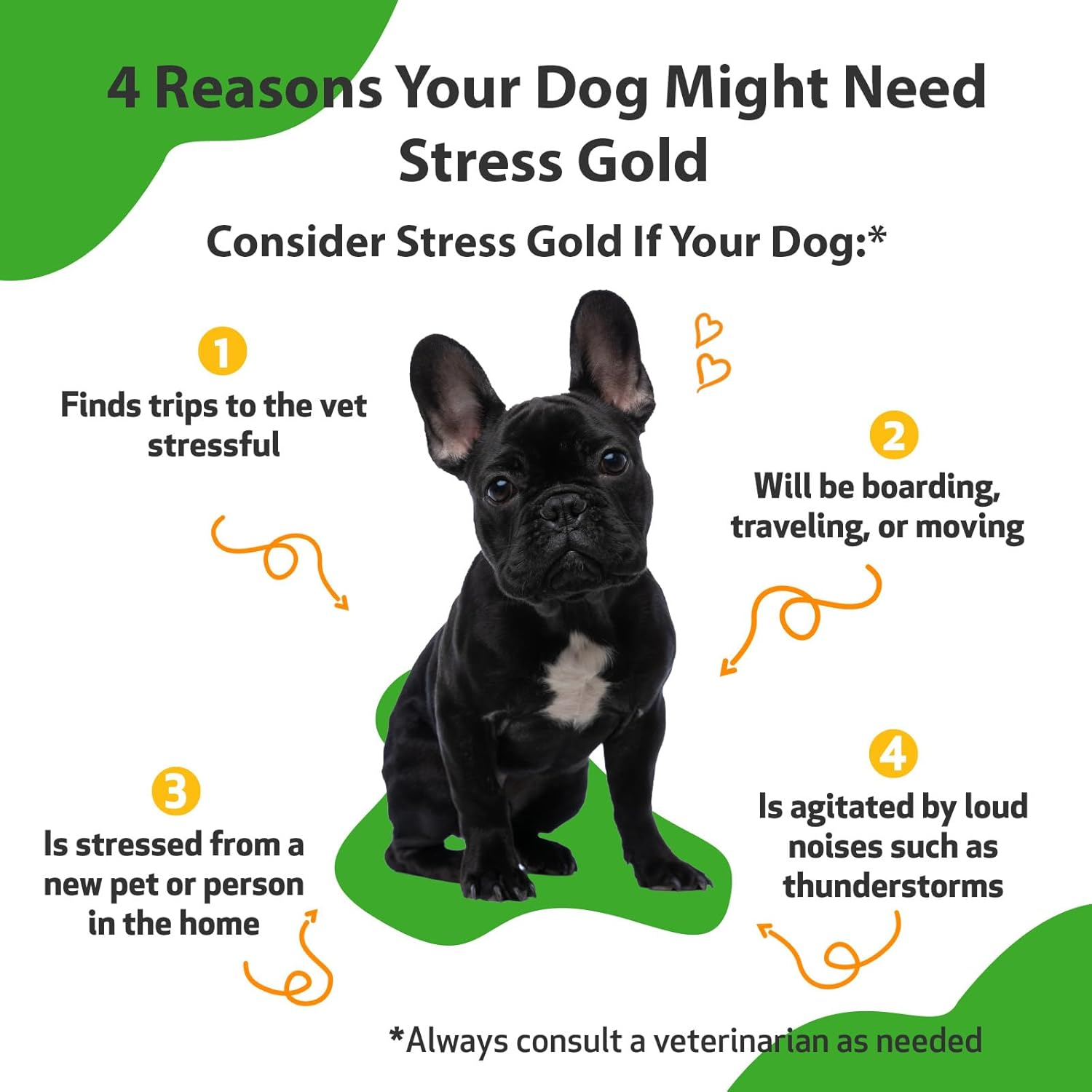 Pet Wellbeing Stress Gold for Dogs - Occasional High Stress and Restlessness, Supports Relaxation, Travel, Vet Trips, Skullcap, Valerian - Veterinarian-Formulated Herbal Supplement 2 Oz (59 Ml)