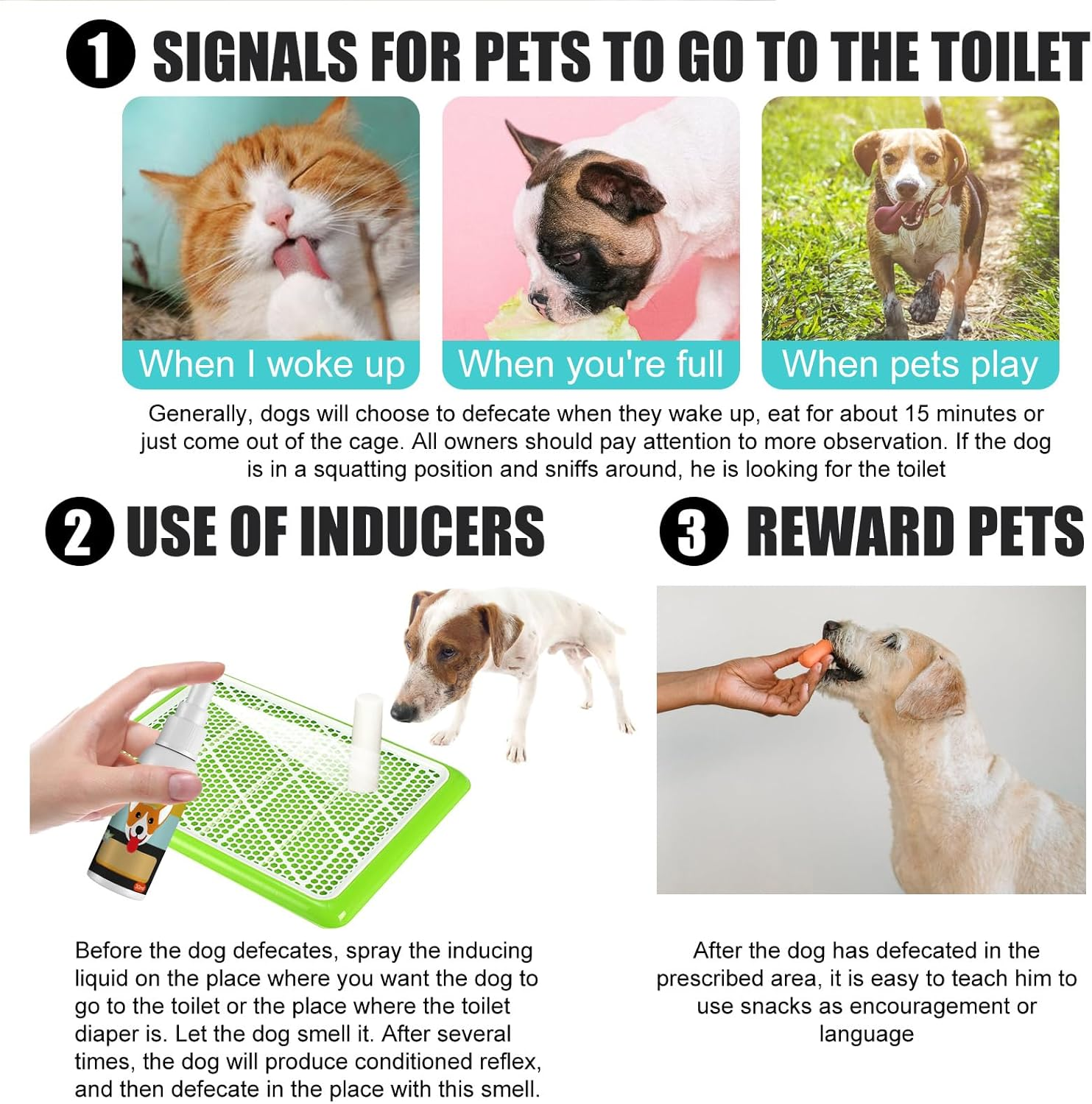 Potty Training Spray, Potty Here Training Aid Spray, Dog Attractant Spray, Potty Training Aid, Puppy Potty Training Spray, Potty Here Training Aid Spray, Puppy Training Spray Dog Cat