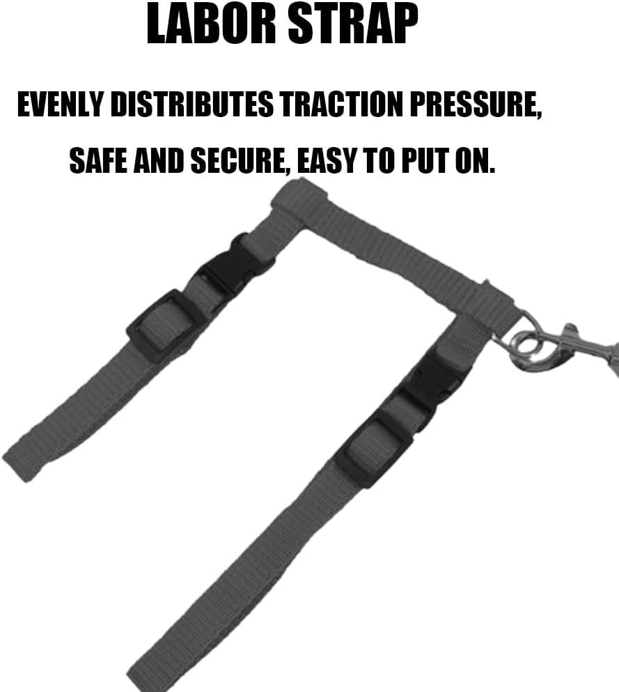 Cat Carrier with Lead, Adjustable Nylon Transporter, Cat Lead for Cats and Rabbits image number 4