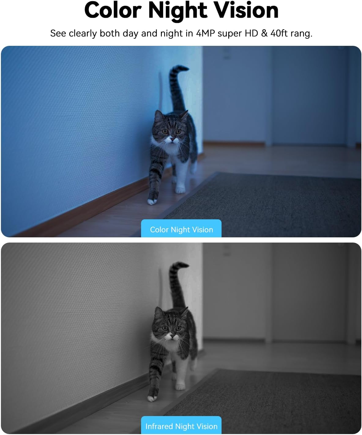 Blurams Security Camera 4K, Indoor Pet Camera, Dog Cameras with Phone App for Home, 2-Way Talk, Motion Tracking, Color/Ir Night Vision, Cloud&Sd, 2.4Ghz & 5Ghz Wi-Fi image number 1