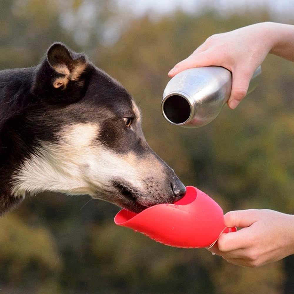KONG H2O Stainless Steel Dog Water Bottle & Pet Travel Bowl, 25 Oz - Blue - Blue image number 2