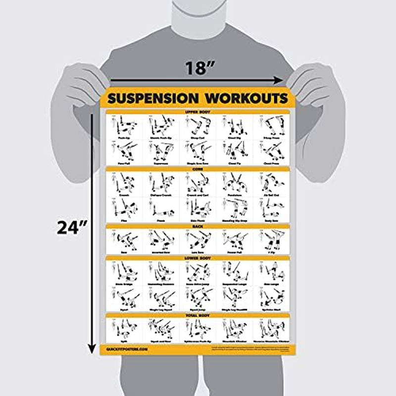 10 Pack - Exercise Workout Poster Set - Dumbbell, Suspension, Kettlebell, Resistance Bands, Stretching, Bodyweight, Barbell, Yoga Poses, Exercise Ball, Muscular System Chart (LAMINATED, 18" X 27") image number 3