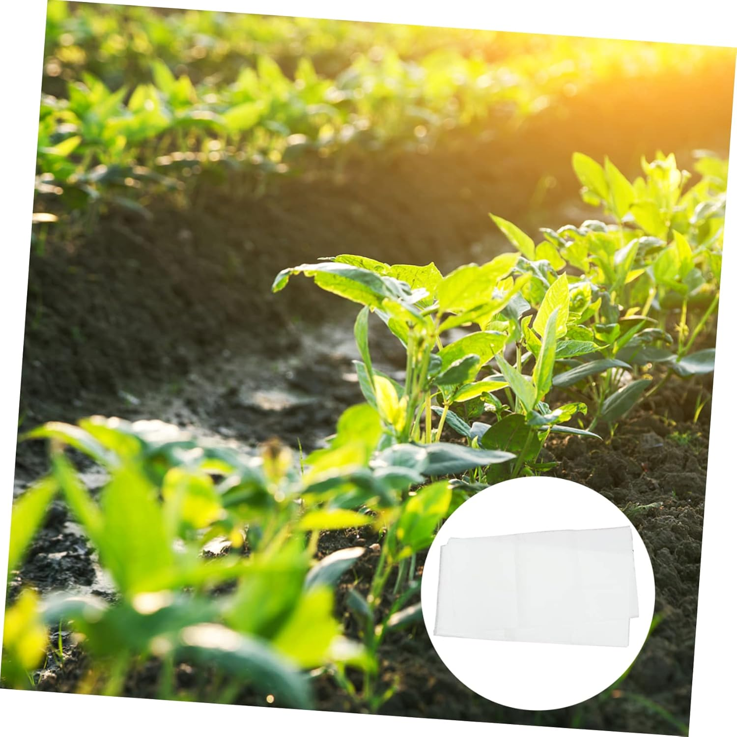 BCOATH 20Pcs Moisturizing Protective Seedling Sprouting Kit Absorbent Cloths for Gardening Greenhouse Seed Mat image number 1