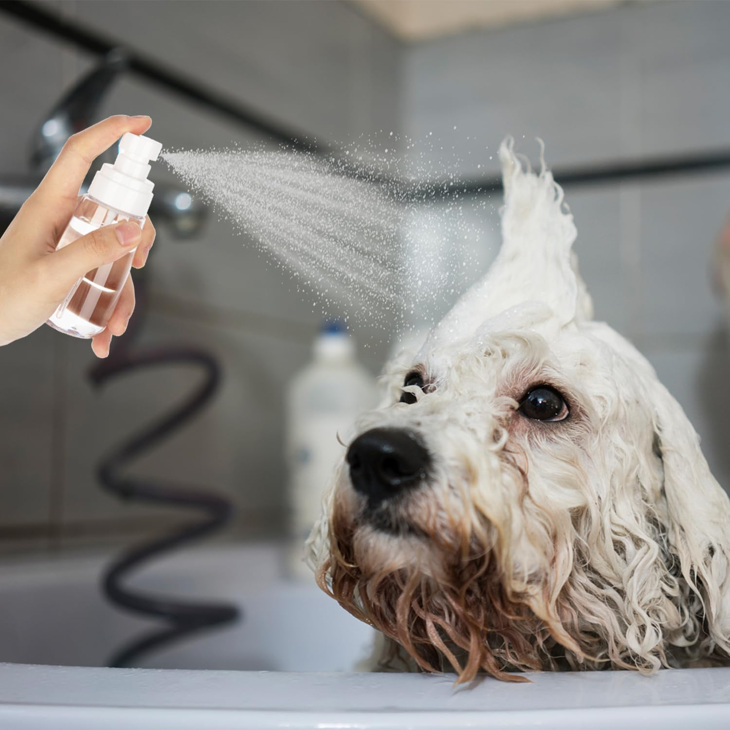 GIVITASOT 3Pack Small Spray Bottle, 1Oz Mini Spray Bottles, Empty Travel Spray Bottle, Fine Mist Plastic Spray Bottles (Clear+Green+Pink) image number 6