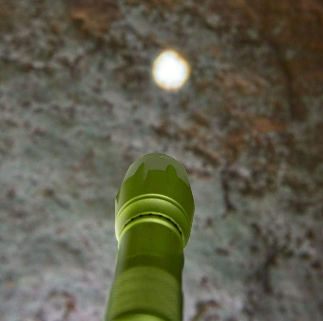 HABA Terra Kids Taschenlampe image number 1