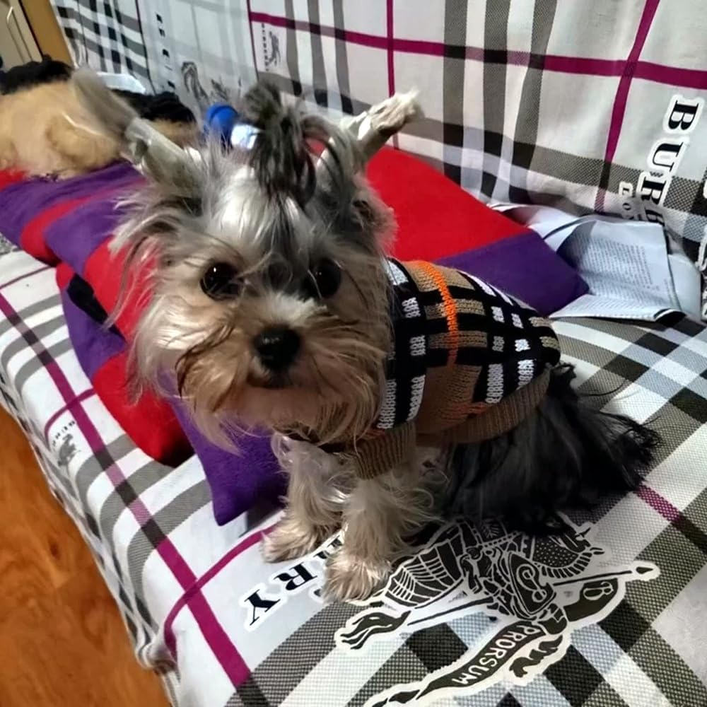 Small Puppy and Kitten Sweater, Knitted Sweater for Small Breed Dogs and Cats, Tailored for Tiny Toy Poodle Teacup Breeds like Chihuahuas, Terrier, Yorkies, XXS image number 5