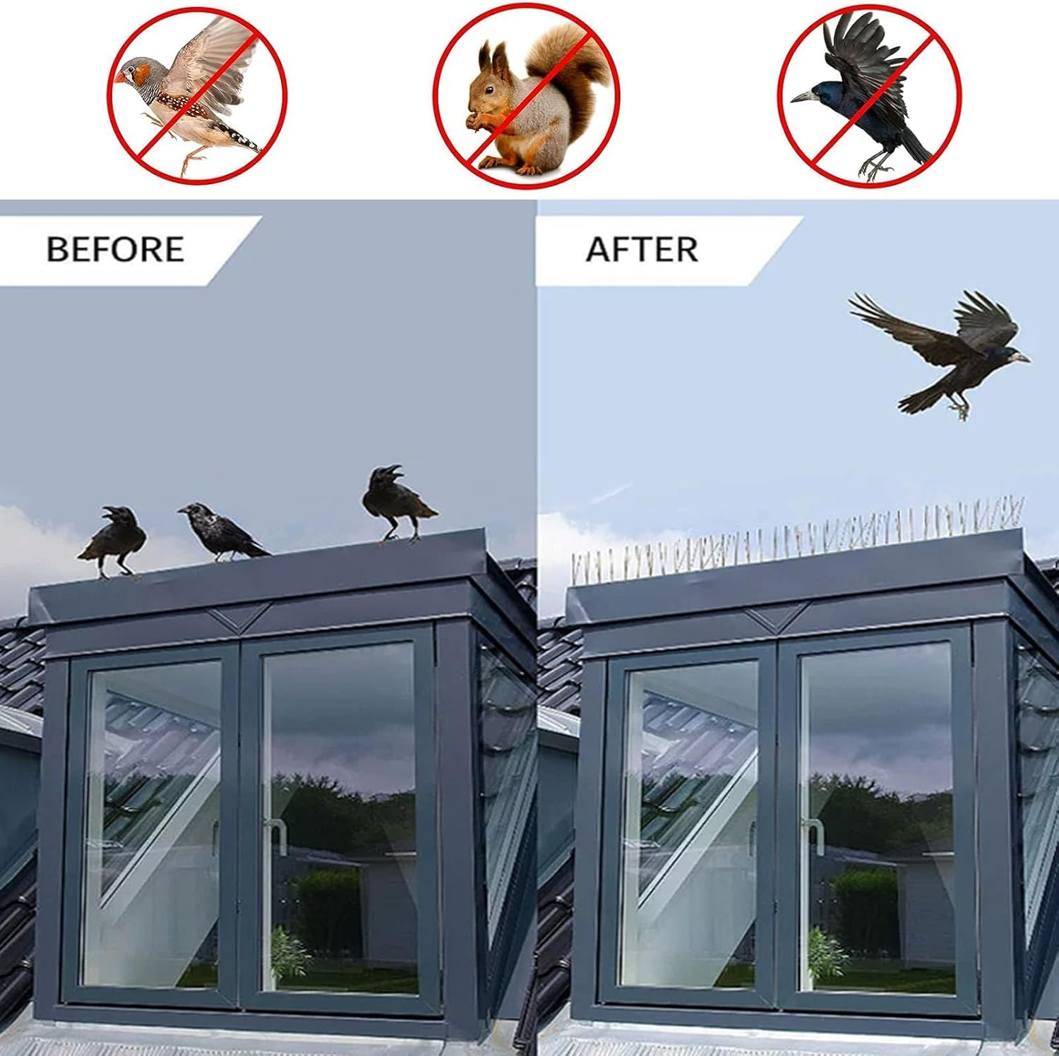 10 Pack Stainless Steel Bird Spikes, Bird Squirrel Raccoon Cat Fox Pigeon Intruder Deterrent Fence anti Bird Spikes, Garden Security Bird Deterrent Spikes for Balcony, Windows and Roof image number 3