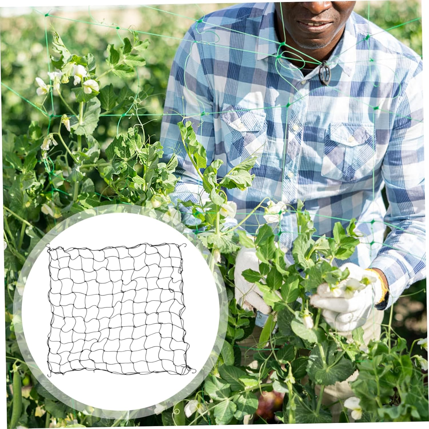 BESPORTBLE Plants Netting for Garden Durable Trellis Support for Climbing Plants Strong Support Design for Healthy Growth for Outdoor Gardening image number 3