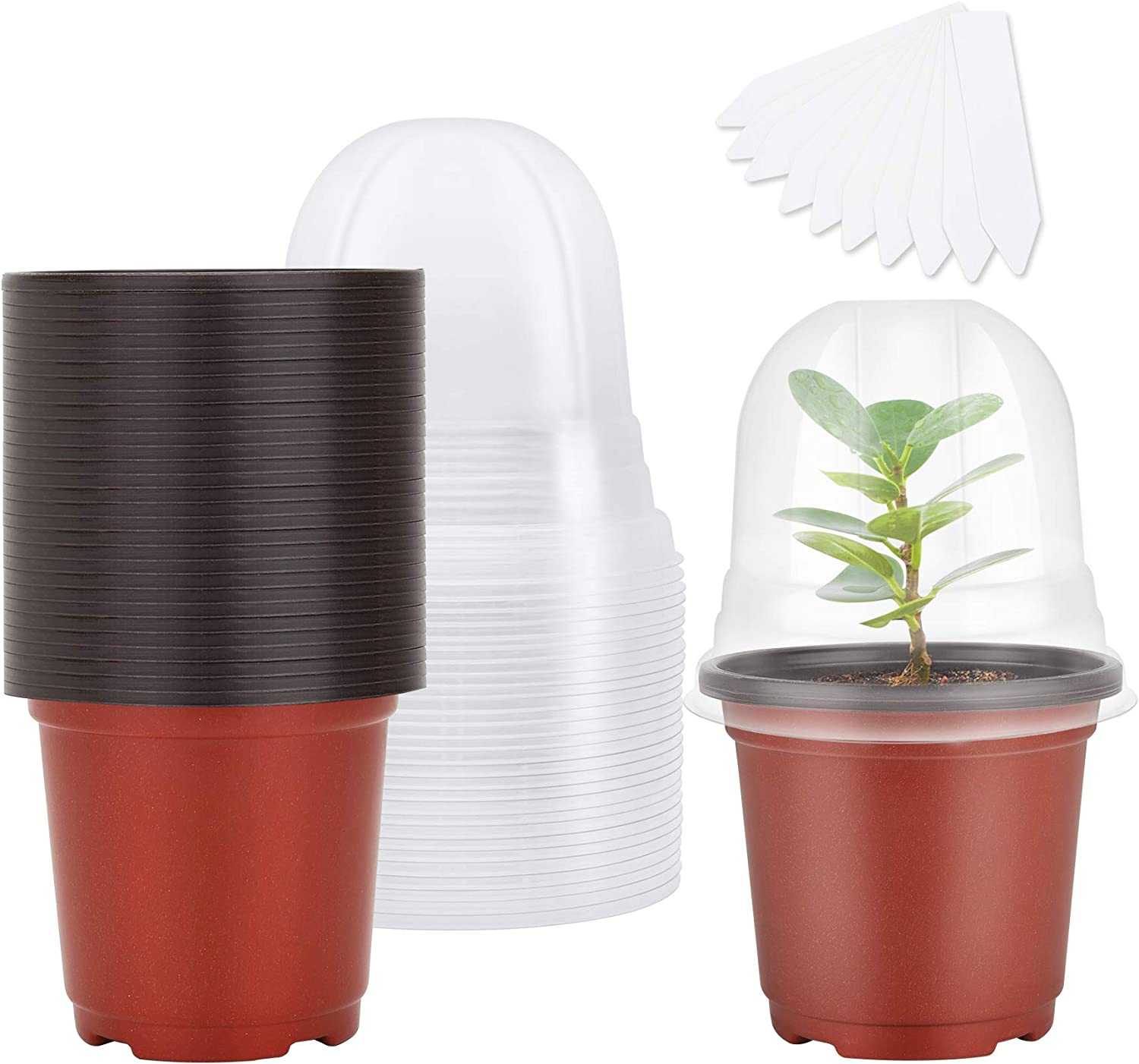MIXC Plant Nursery Pots with Humidity Dome 4" Soft Transparent Plastic Gardening Pot Planting Containers Cups Planter Small Starter Seed Starting Trays for Seedling with 10Pcs Plant Labels，30 Sets image number 1