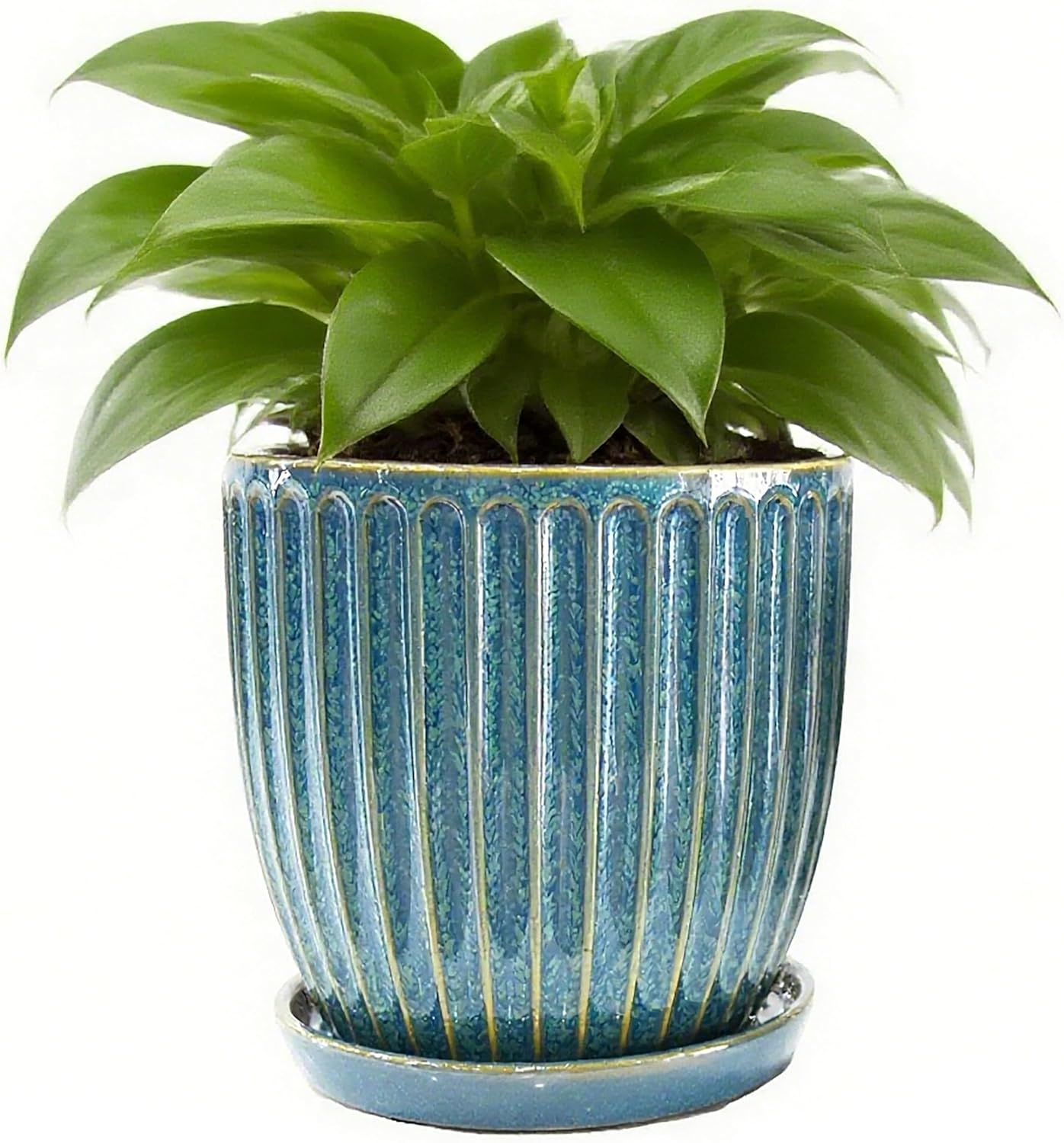 6 Inch/15 Cm Glaze Blue Ceramic Plant Pots with Drain Hole & Saucer, Flower Pots for Indoor/Outdoor Plants - Succulent, Snake Plant, Money Tree, Aloe Vera, Basil Planter image number 4