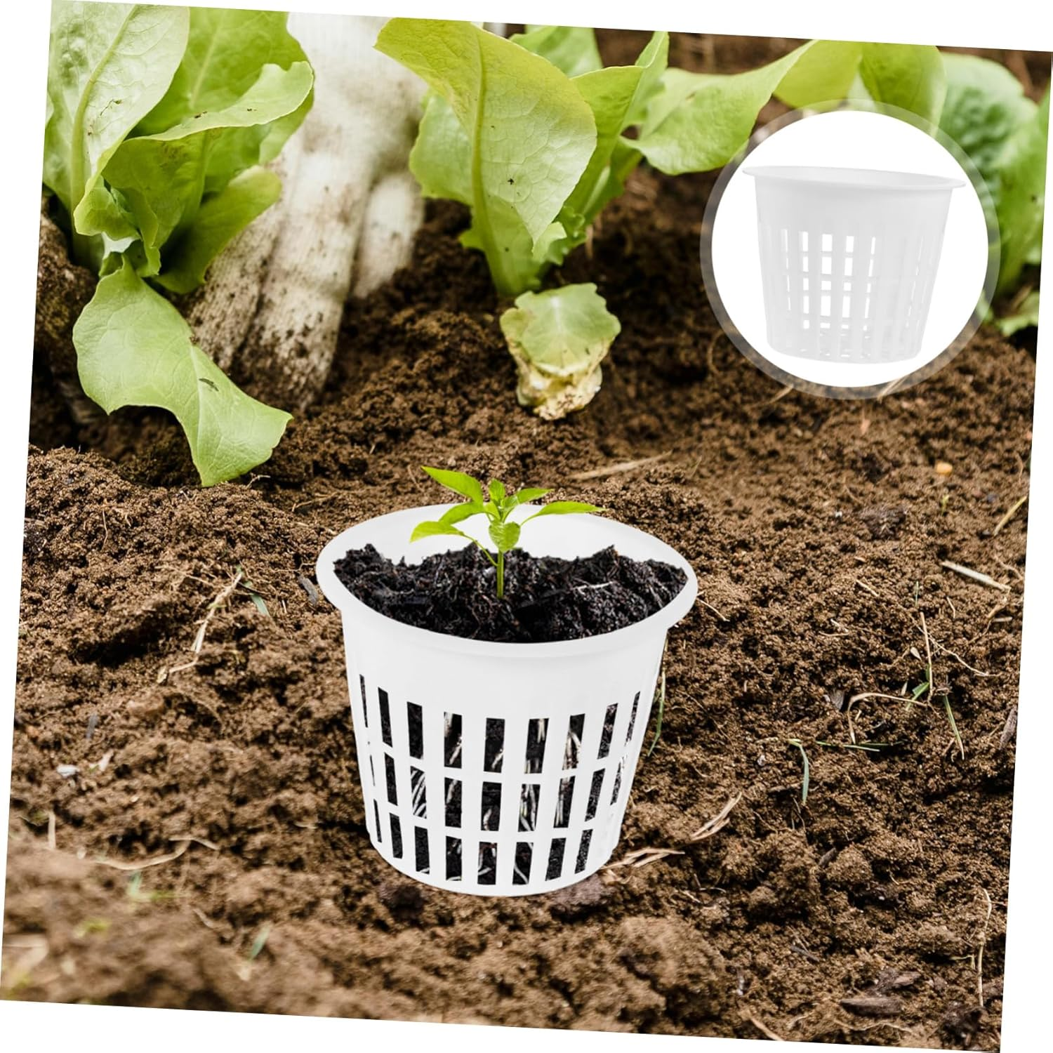 Parliky 10Pcs White Plastic Hydroponic Net Planter Pots Mesh Nursery Baskets for Orchids and Aquatic Plants Root Control Indoor Gardening Grow Supplies image number 2