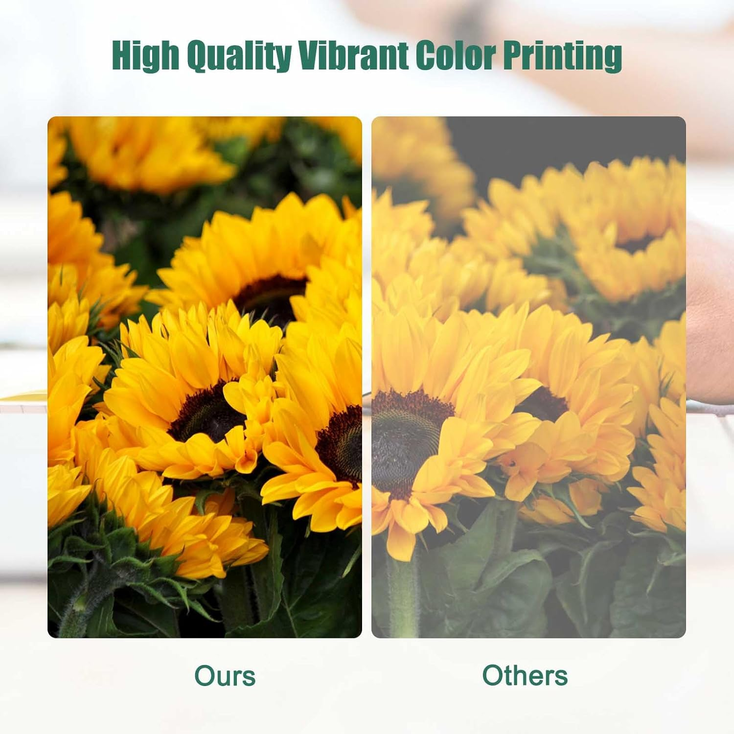 645 XL 646 XL Ink Cartridges Compatible with PG645XL Black CL646XL Color Works for Canon Pixma MG2965 MG2460 MG2560 MG2960 MG3060 MX496 TR4560 TS3160 TS3360 TS3165 TS3166(1 Black) image number 4