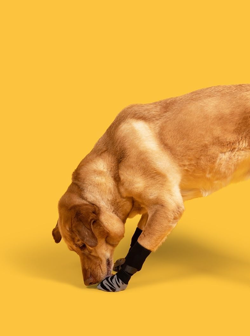 Anti-Slip Dog Socks-4 Pcs Double Sides Grips Dog Shoes Paw Protector for Hot Pavement, Prevents Licking,For Puppy Small Medium Large Senior Dogs (Black, L) image number 4