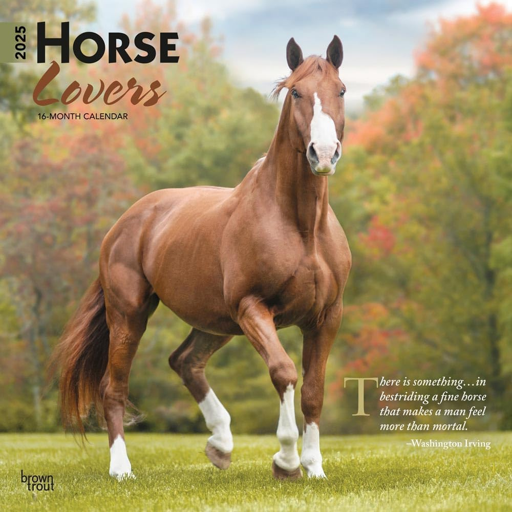 Horse Lovers | 2025 12 X 24 Inch Monthly Square Wall Calendar | Plastic-Free | Browntrout | Animals Equestrian image number 2