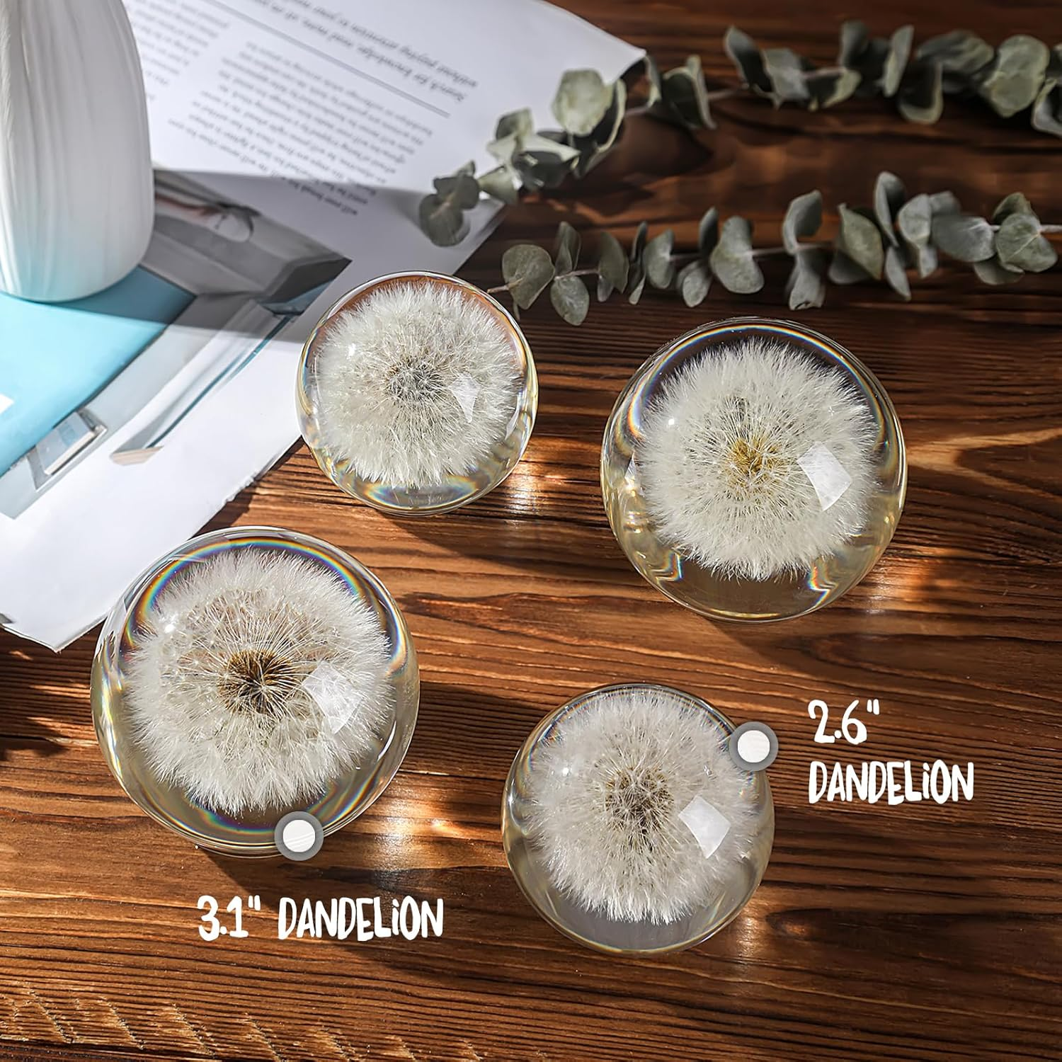 Dandelion Paperweight in Crystal Glass &ndash; Real Preserved Dandelion, Symbol of Hope, Luck, or New Beginnings &ndash; Elegant Gift with Gift Box & Card (Dandelion, 65 Mm) image number 5