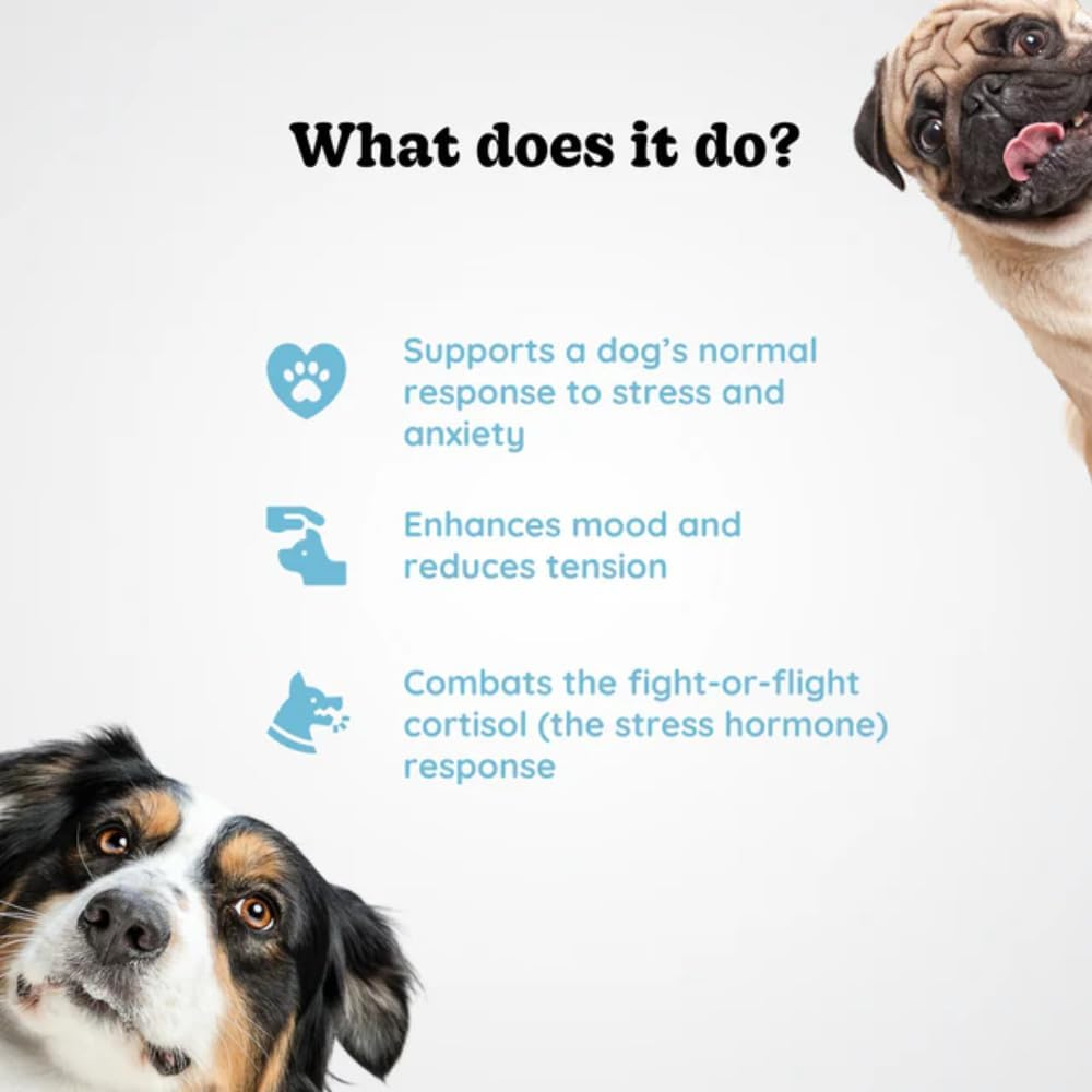Woohoopets Stress Relief for Dogs | Natural Calming Supplement, 90G image number 2