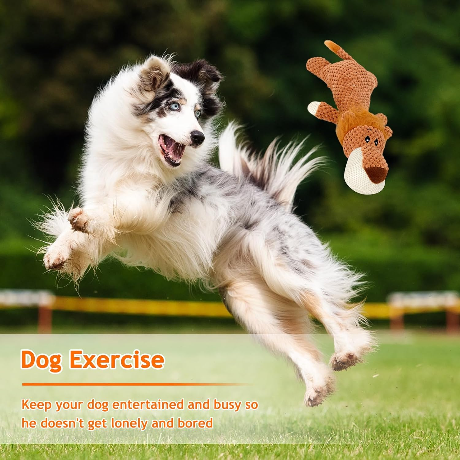 DBAILY Squeaky Dog Toys 2 PCS Plush Puppy Toy with Cotton Material No Stuffing Dog Toy for Aggressive Chewers Interactive Dental Cleaning Pet Chew Toy for All Breed Sizes Dog(Lion Elephant) image number 2