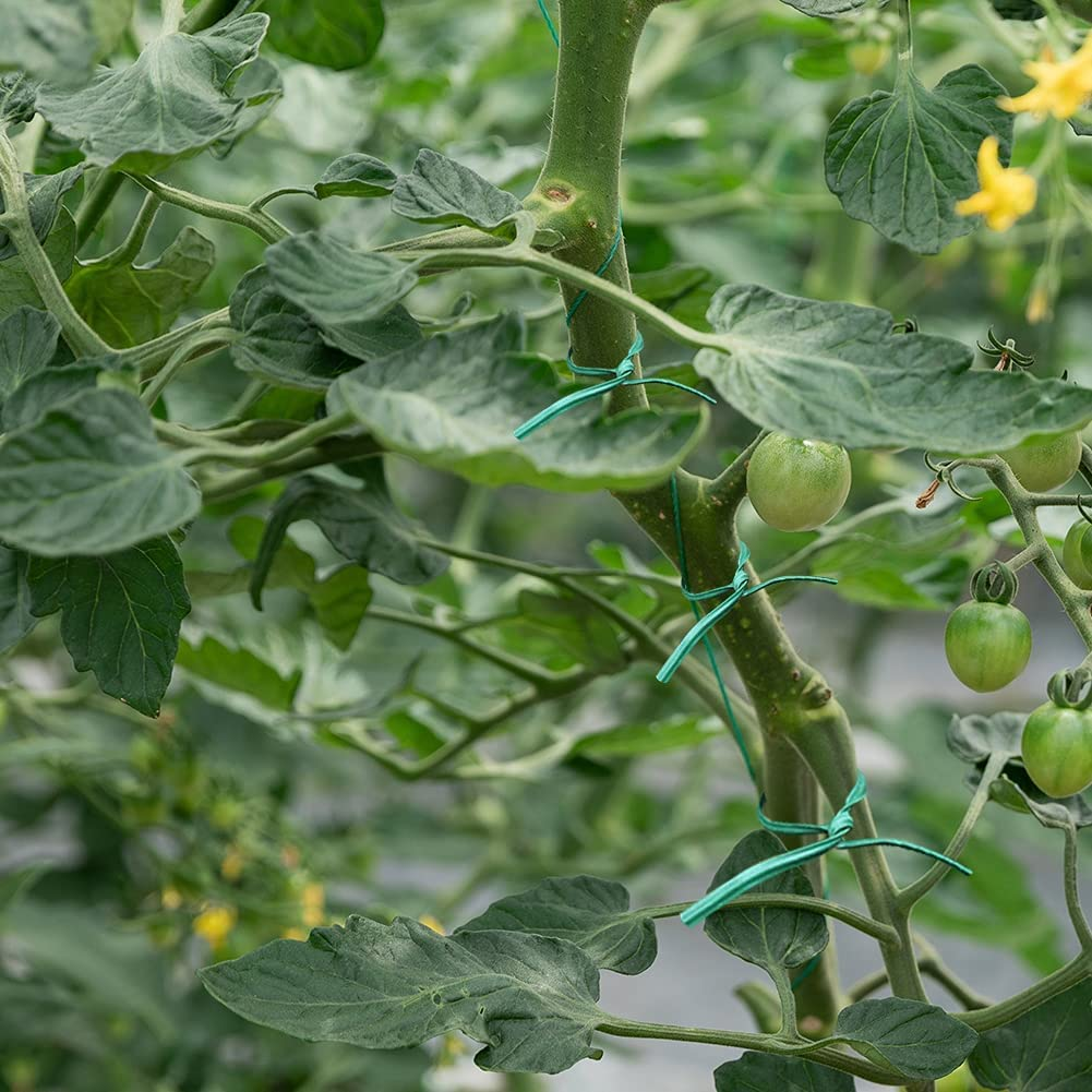 200M Twist Tie Sturdy Plastic Green Garden Plant Twist Tie Multi-Use for Secure Vines/Plants, 4 Pack Total 200M Green Garden Ties with Cutter for Gardening and Office Organization image number 1