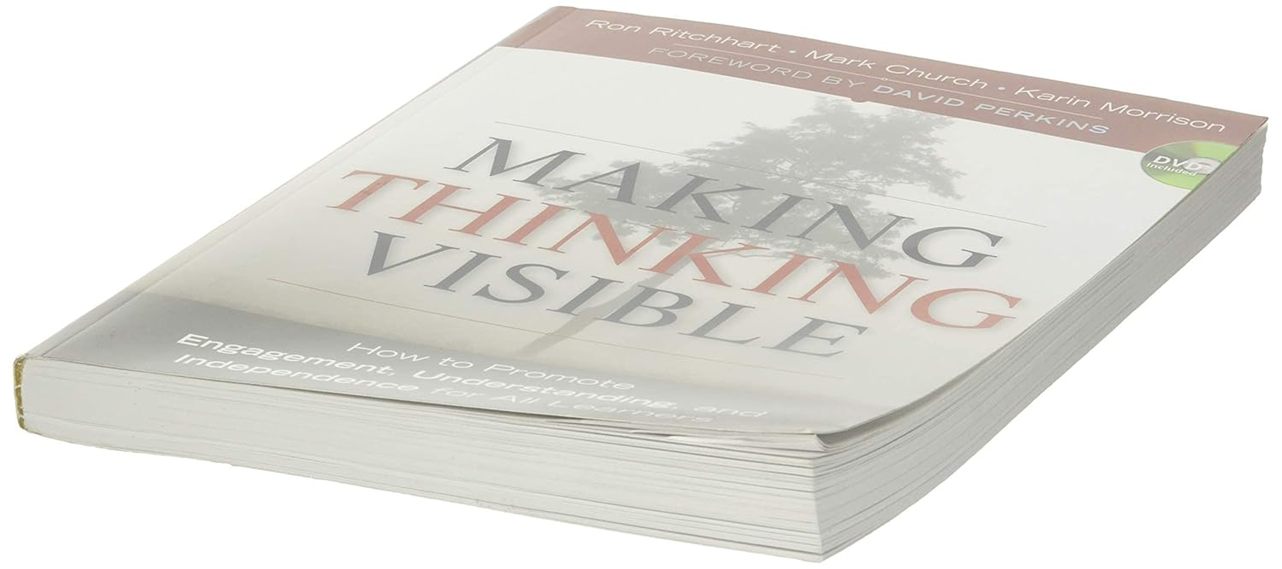 Making Thinking Visible: How to Promote Engagement, Understanding, and Independence for All Learners