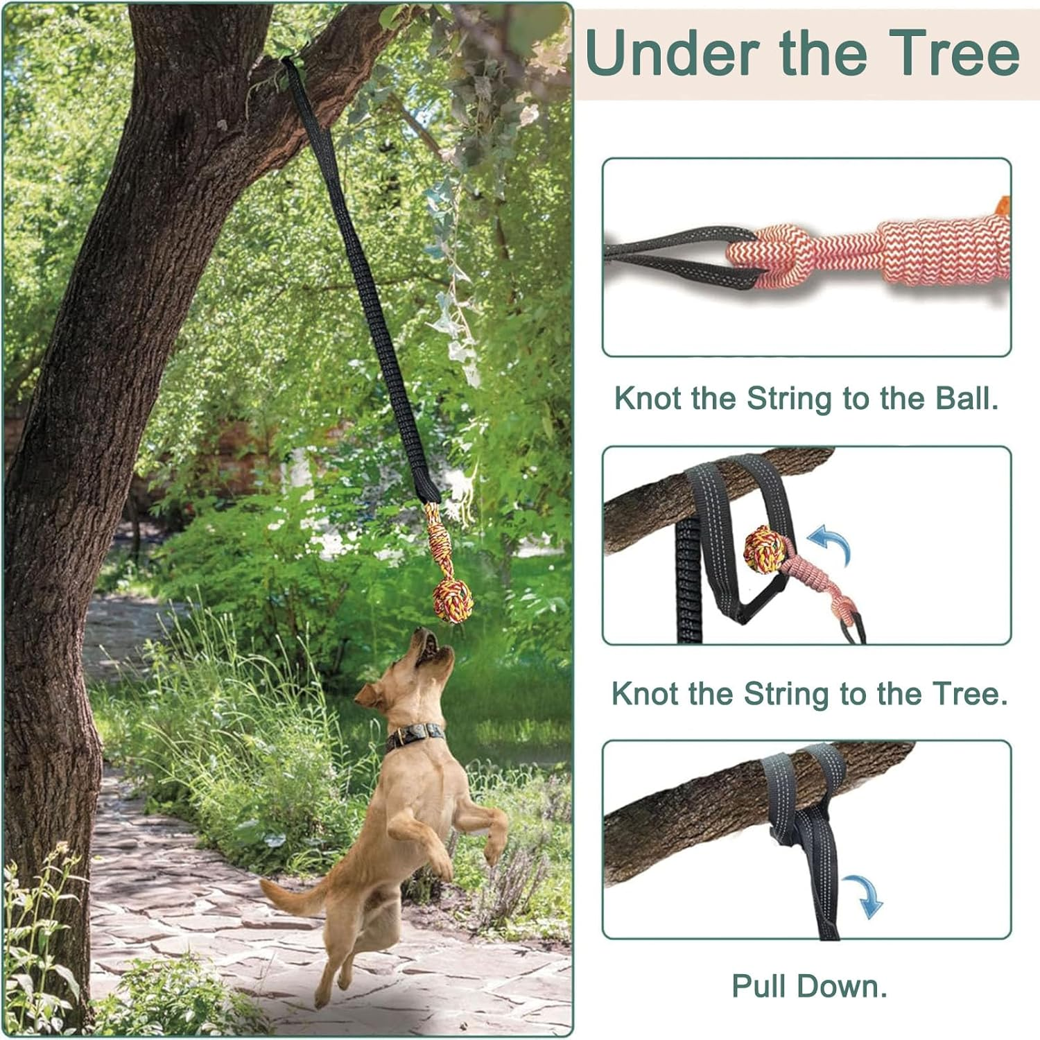 Heavy Duty Dog Bungee Tug Toy - Outdoor Interactive Play for Small/Medium/Large Dogs with Ground Stake for Lawns & Trees image number 1