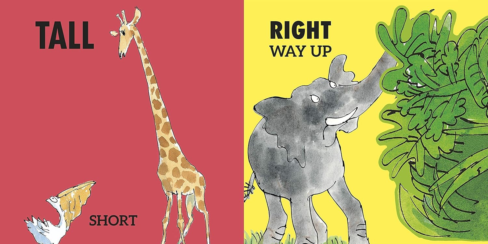 Roald Dahl'S Opposites: (Lift-The-Flap) image number 3