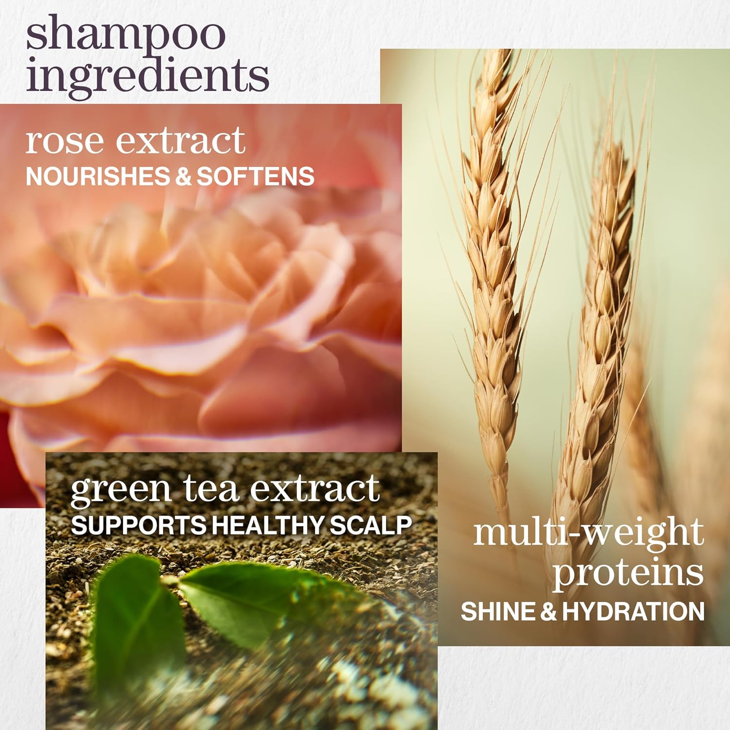 Pureology Hydrate Moisturising Shampoo & Conditioner Duo | 2 X 266Ml image number 3