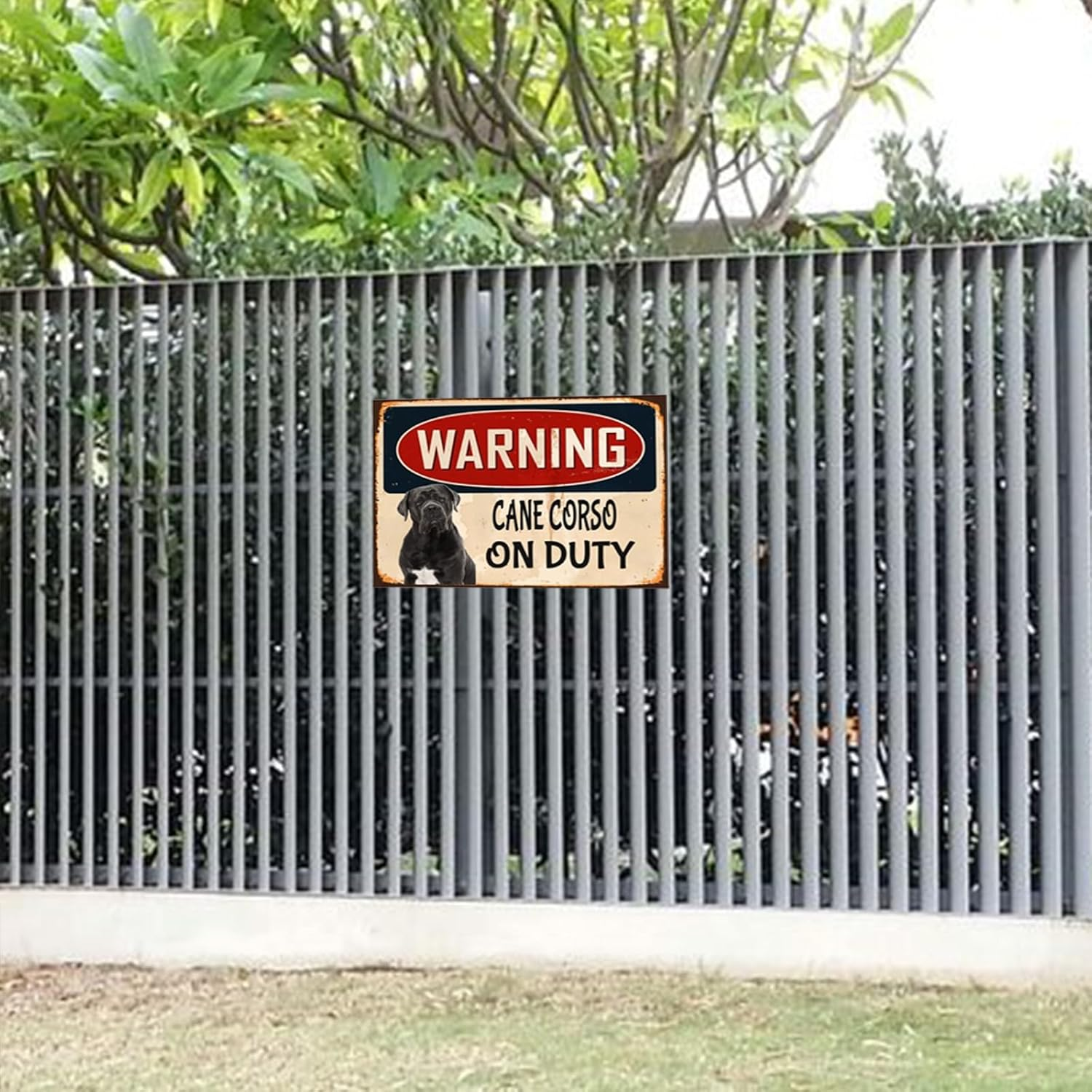 Snowsun Metal Sign Warning Cane Corso on Duty Warning Sign Warning Sign Retro Aluminum Tin Signs for Home Garden Street Outdoor 8X12 Inches image number 5