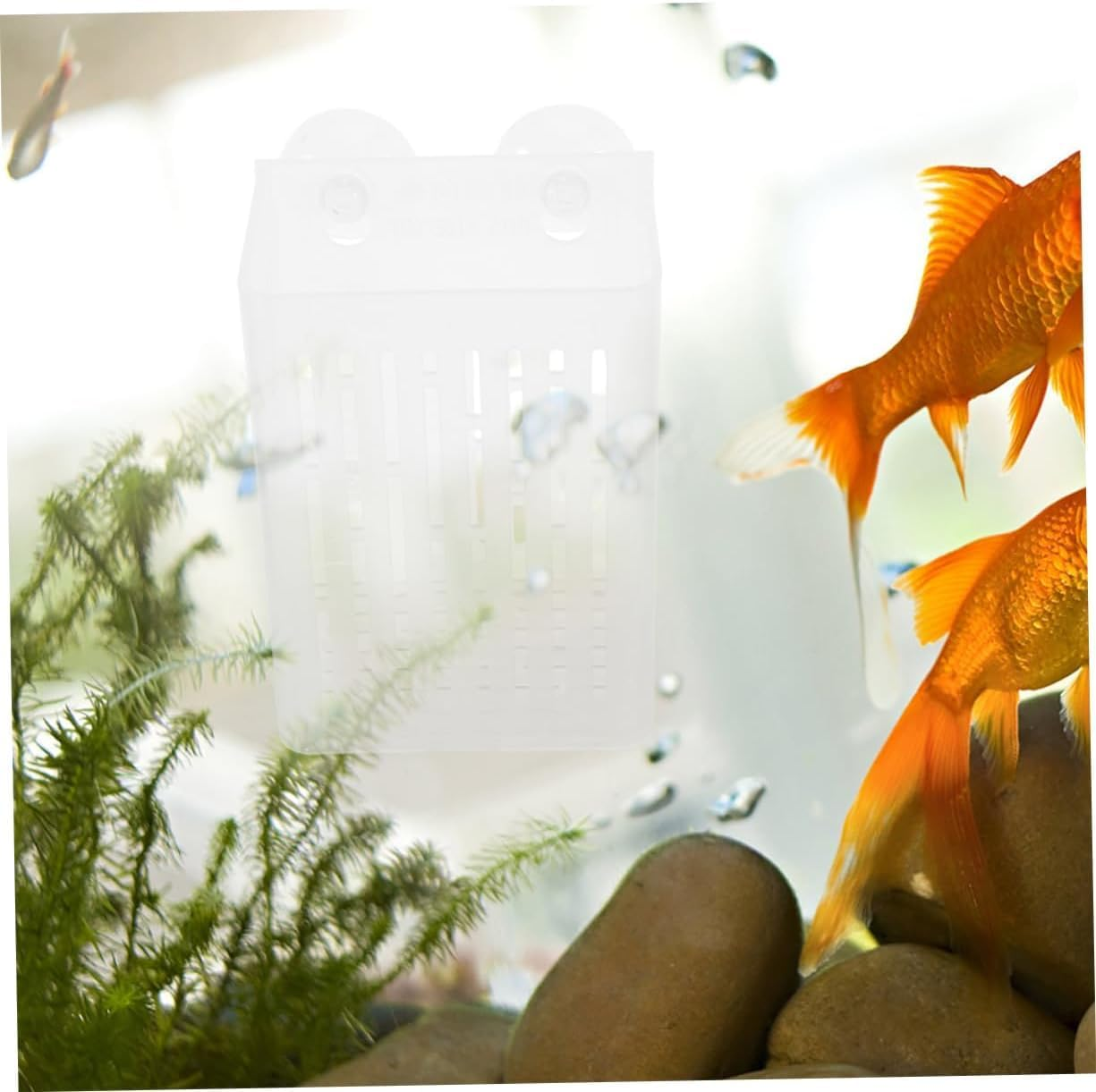 2 Pcs Wezxrauo Aquarium Plant Holder with Suction Cups, Fish Tank Grass Planter for Aquatic Plants, Moss Decor, Underwater Planting Cups for Aquascape Decorations image number 1