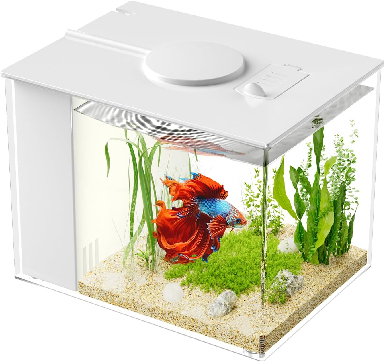 Vehipa 2.9L (0.78 Gal) Betta Fish Aquarium, Acrylic Small Fish Tank Kit with Water Filter Pump & LED Light, Ideal for Small Fish, Plants and Shrimp, White