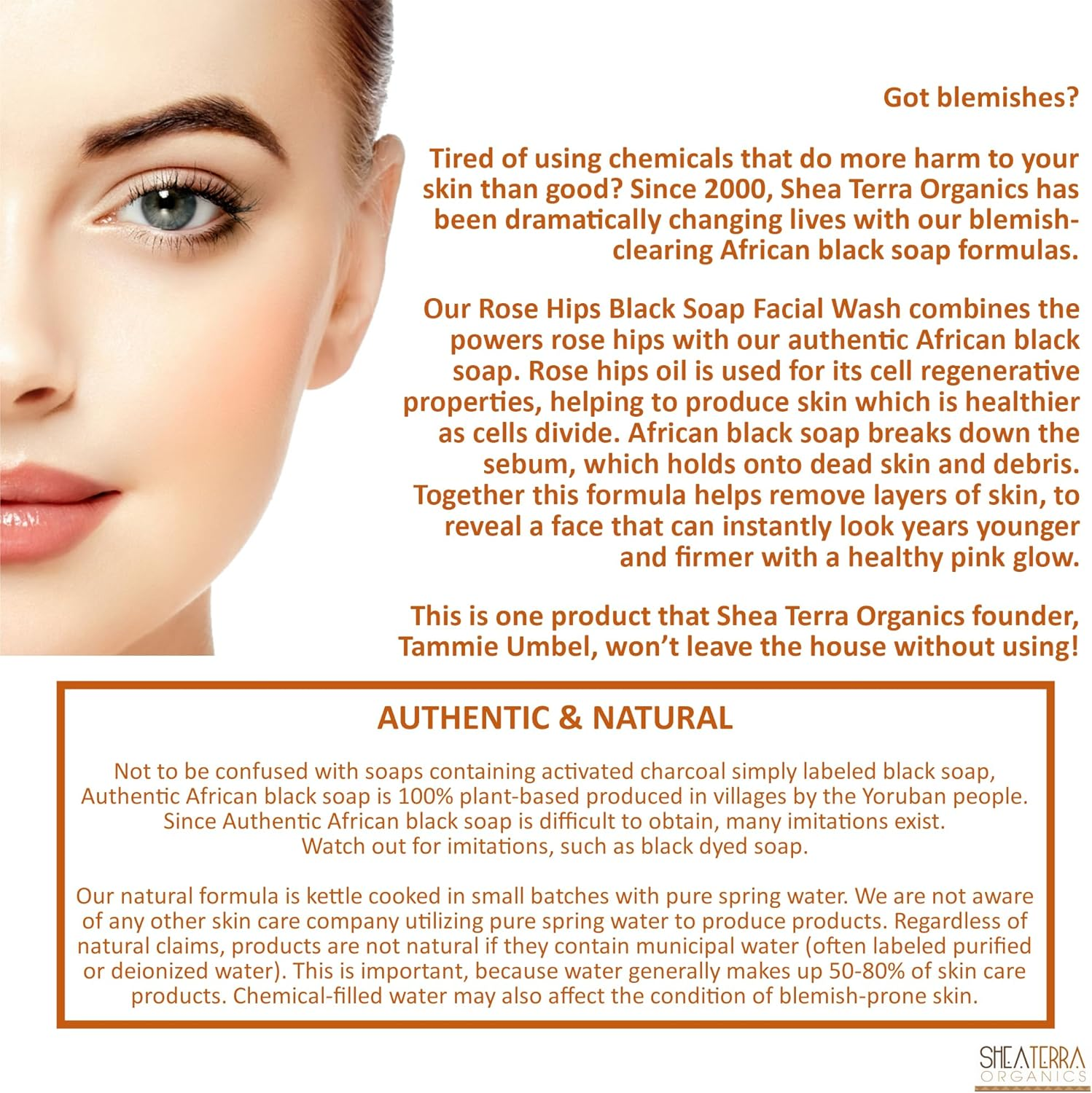 Shea Terra Organics - Rose Hips Black Soap Deep Pore Facial Wash & Mask image number 3