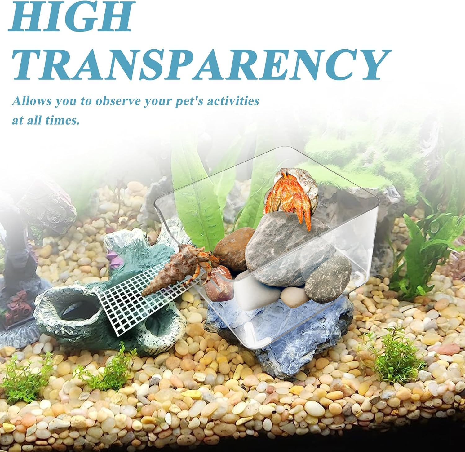 2 Pack Hermit Crab Water Tank, Cage Accessories with Climbing Ramp, Aquarium Salt Water Pool for Small or Medium Habitat Home &ndash; Transparent image number 5