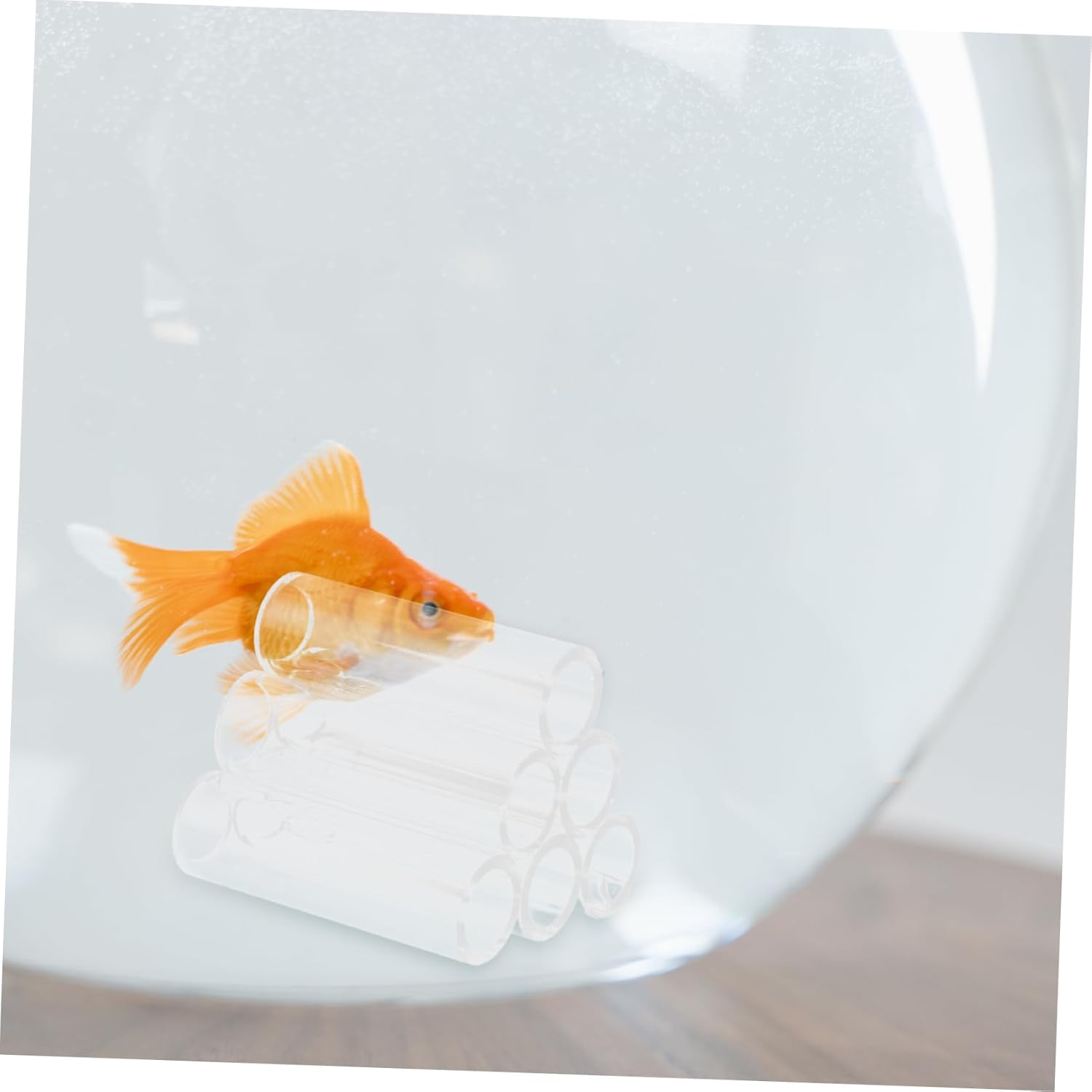 VANZACK 6Holes Fish Shrimp Feeder Breeding Tube Transparent Acrylic Shelter for Aquatic Pets for Shrimp Habitat and Tank Decor Easy to Clean and Maintain image number 2