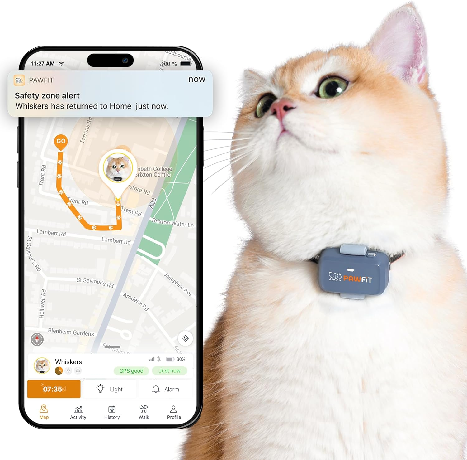 Pawfit Lite for Cats 4G GPS Tracker | Real Time Tracking | Activity Monitoring |Location History | Unlimited Range | Safety Collar Included | Lilac Grey image number 3