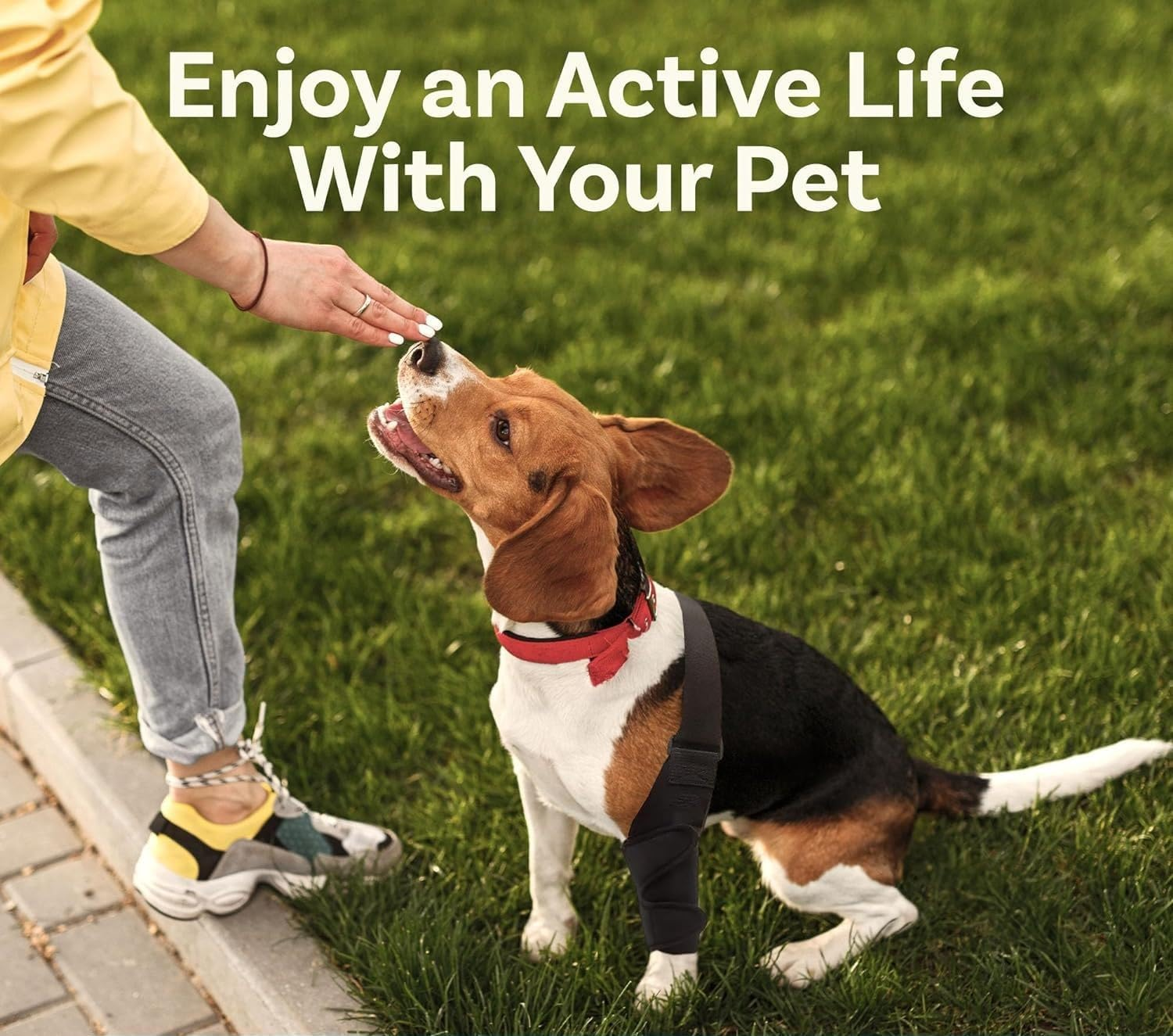 Hind Leg Dog Knee Brace, Cruciate Ligament Care Knee Brace for Dog Hind Legs, Strong Support ACL Support, Reduces Joint Pain and Muscle Soreness, with Side Stabilizer (L, Black) image number 4