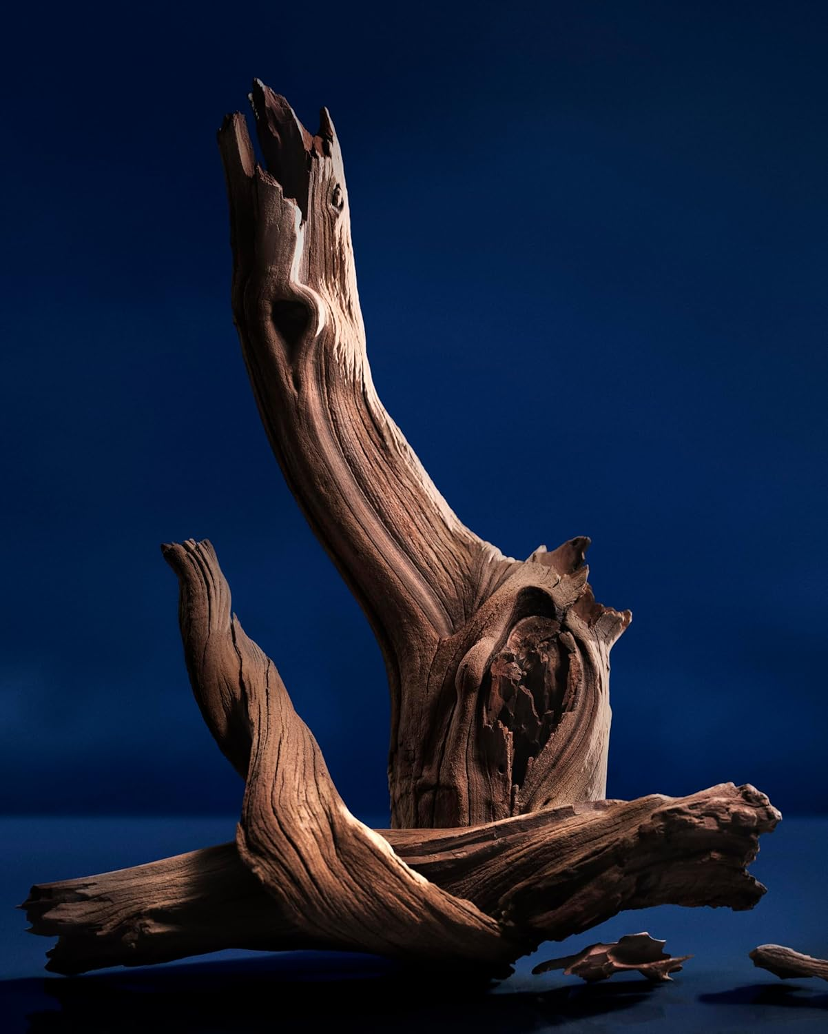 Ralph Lauren Men'S Polo 67 Eau De Parfum Spray 75 Ml image number 4