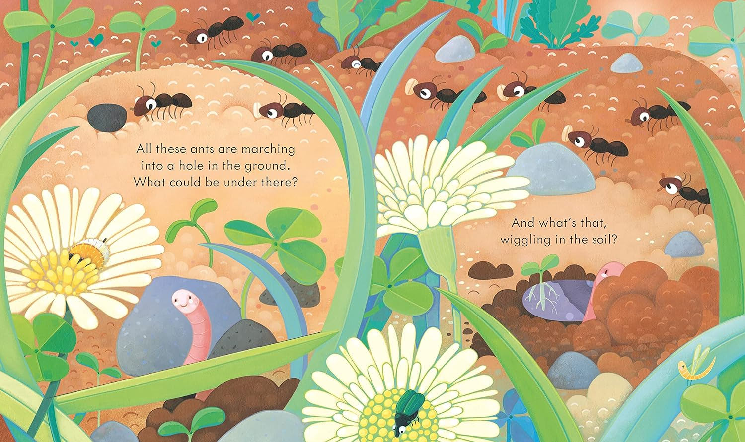 Peep inside under the Ground image number 1