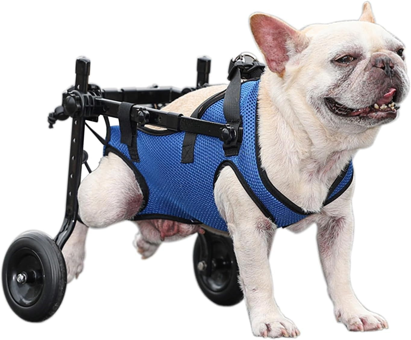 Adjustable Dog Wheelchair, Lightweight Dog Scooter for Back Legs, Max 11 Pound Dogs, Wheelchair for Paralyzed Injured Lame Disabled Handicapped Dogs (S)