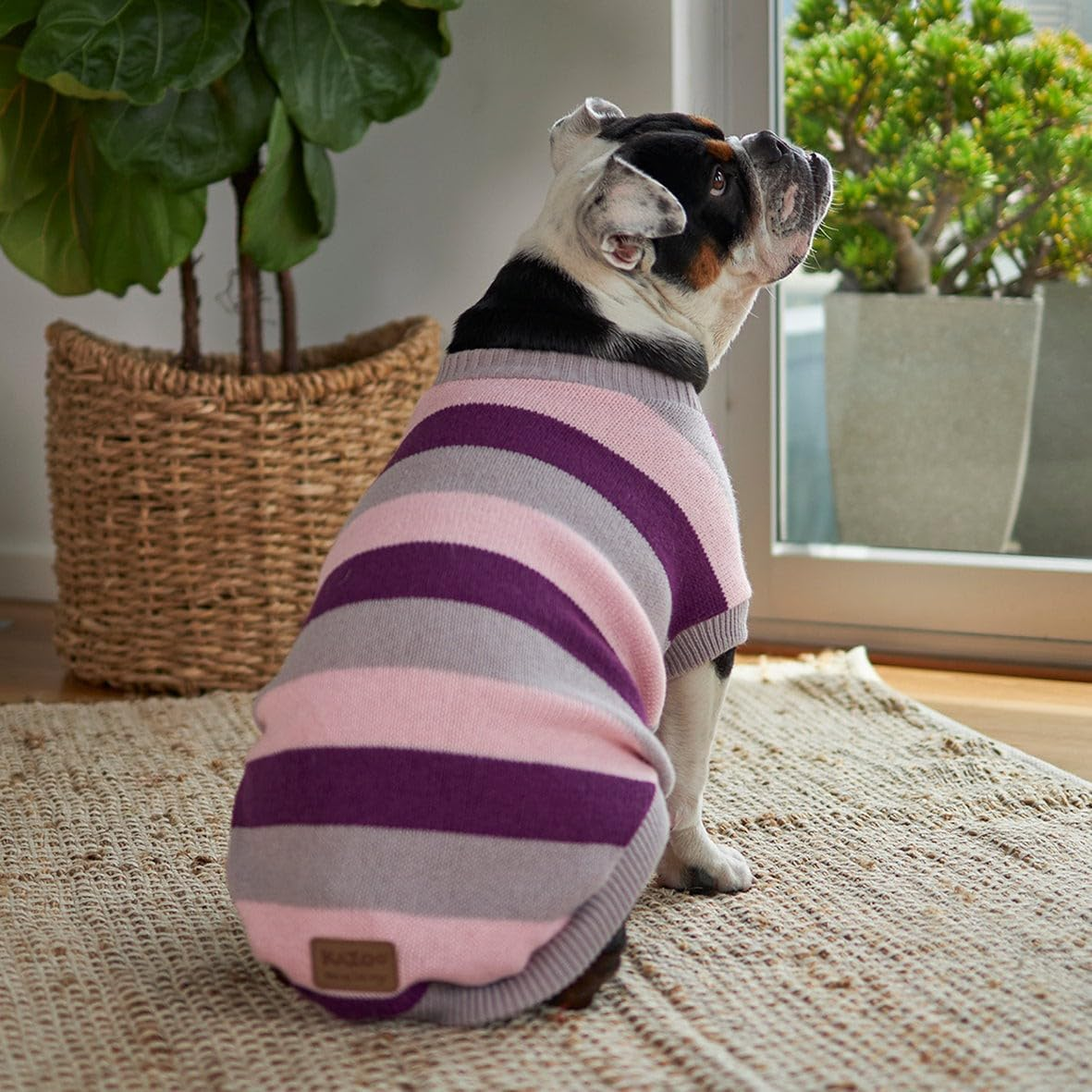 Kazoo Chestie Dog Jumper, Cherry Ripe, 2X-Large image number 2