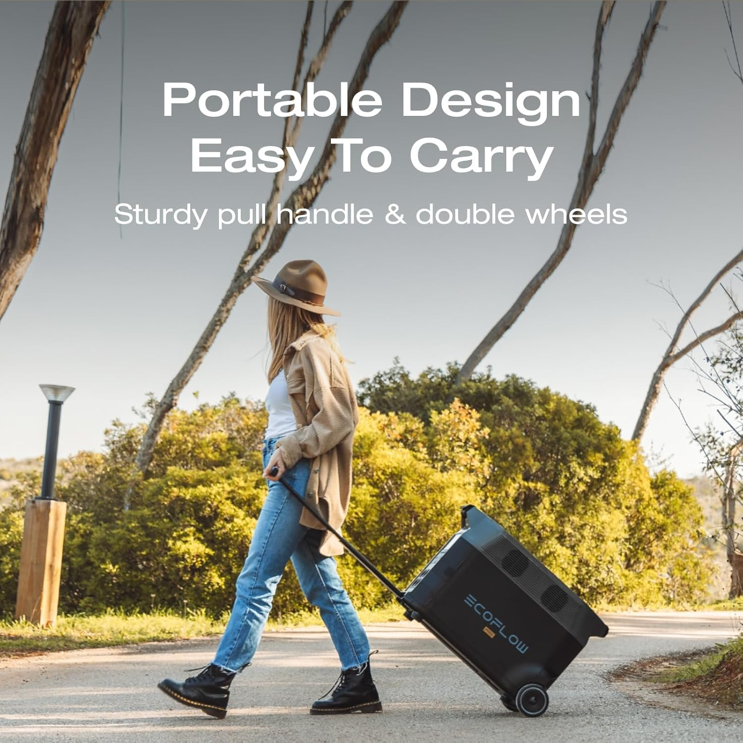 EF ECOFLOW 3600Wh DELTA Pro Home Battery, Expandable Portable Power Station 3.6Kwh-25Kwh, Huge 3600W AC Output, Solar Generator for Home Backup, Travel, Outdoor Camping Boats,Rv image number 1